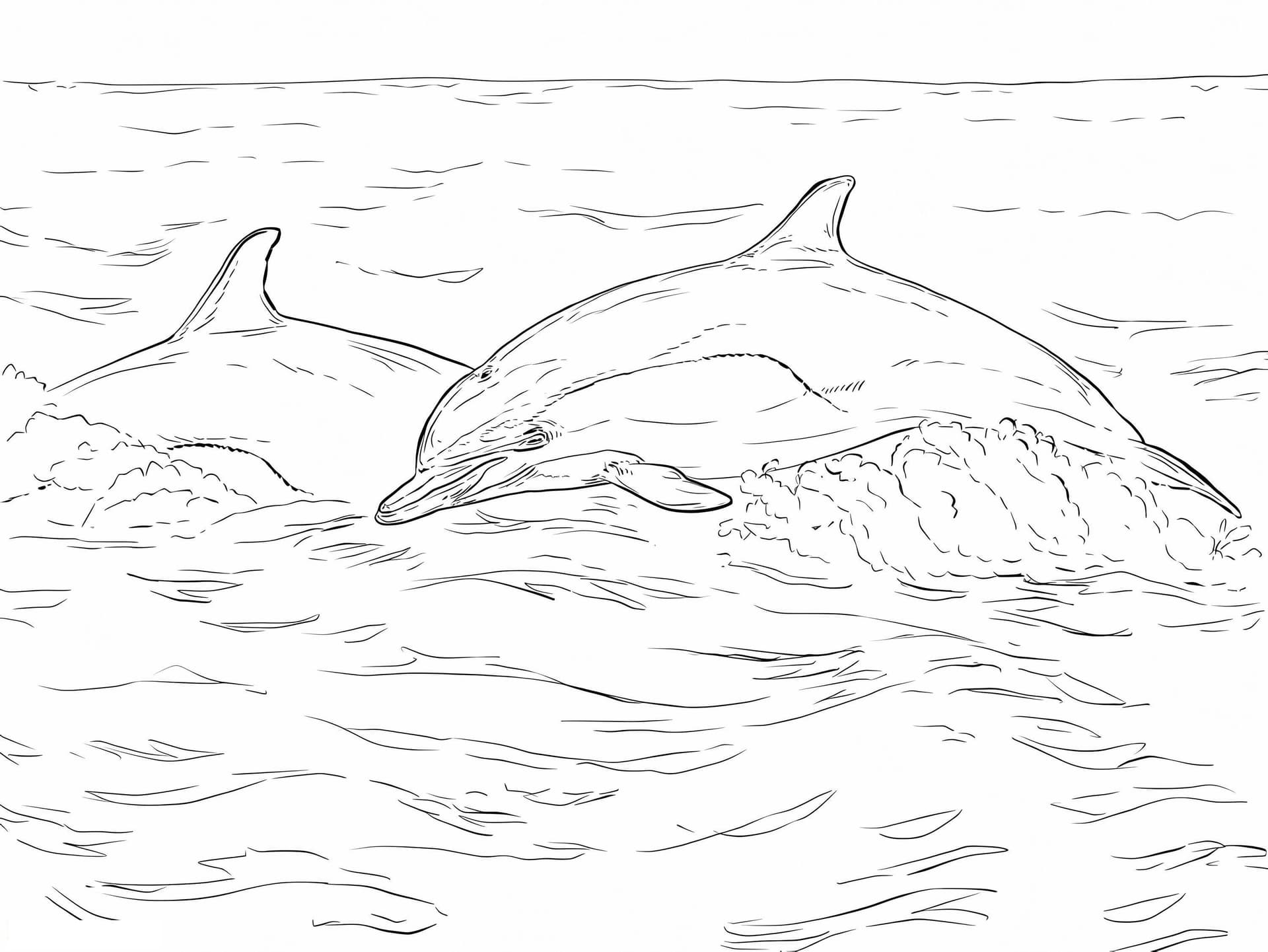 Dauphin Commun A Bec Court