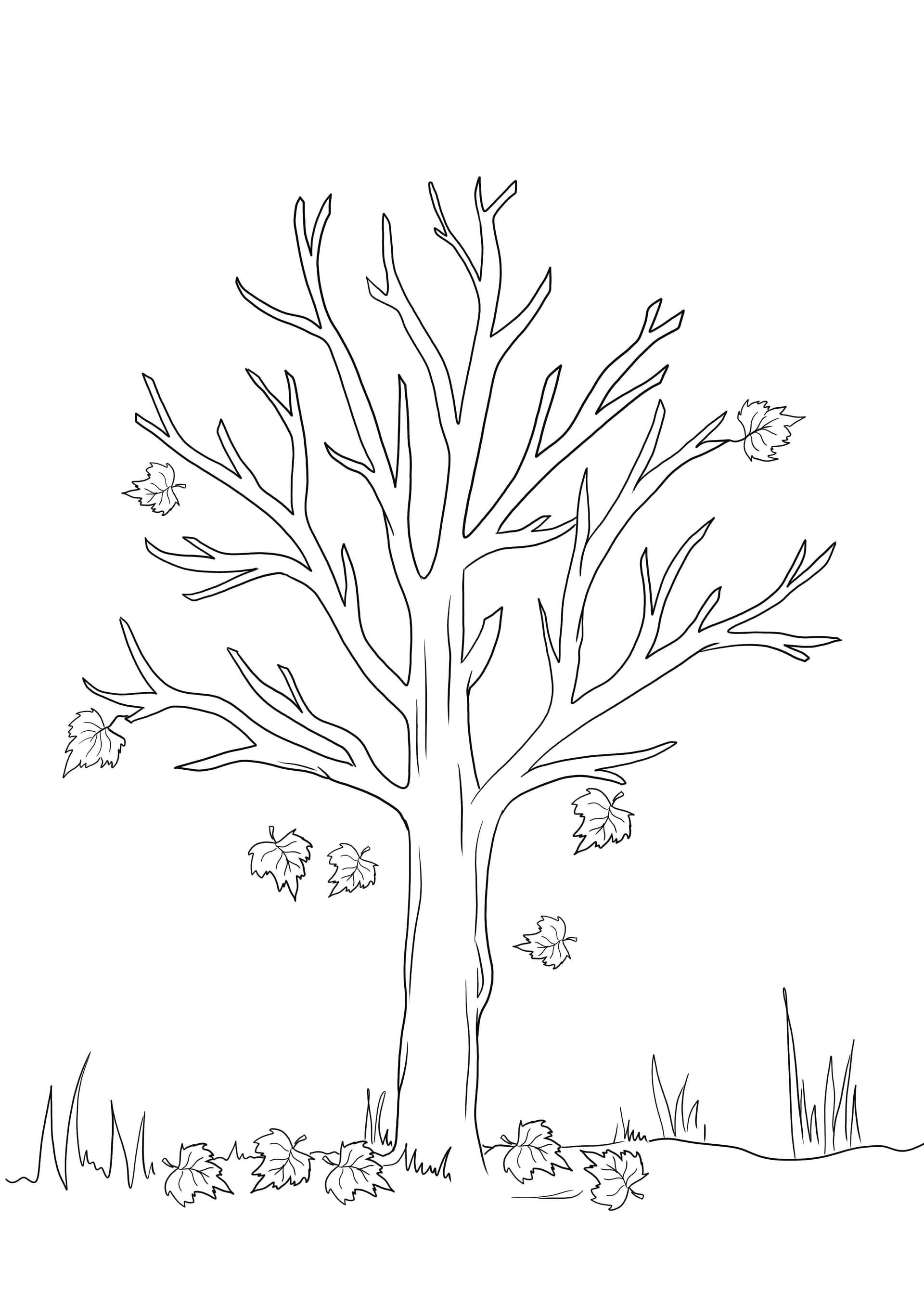 Herbstbaum