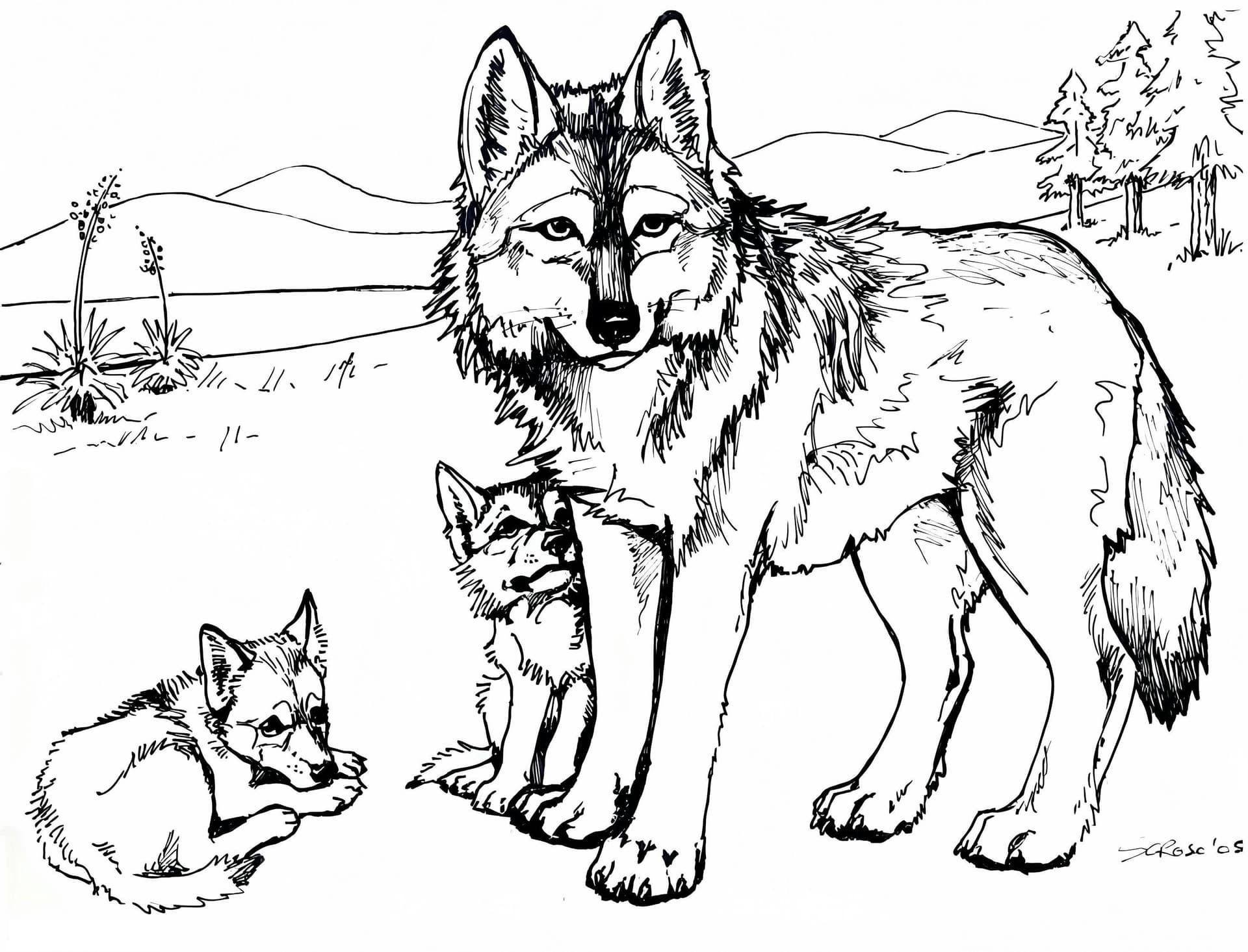 Family Of Wolves