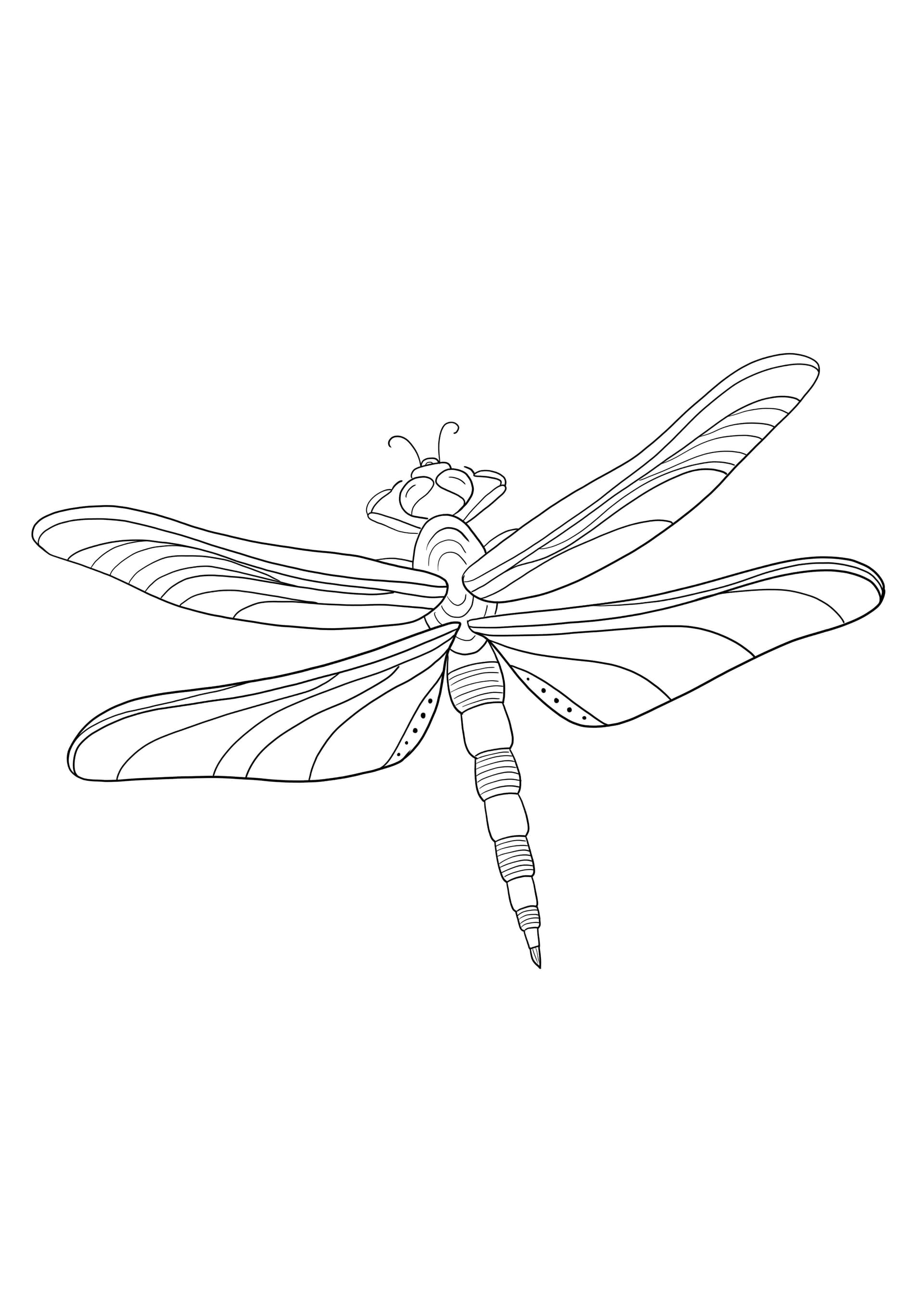 Flying Dragonfly