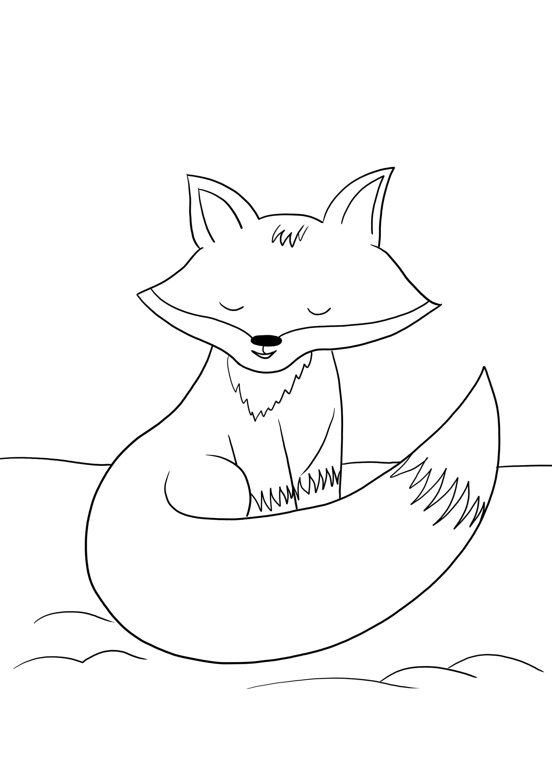 Fox