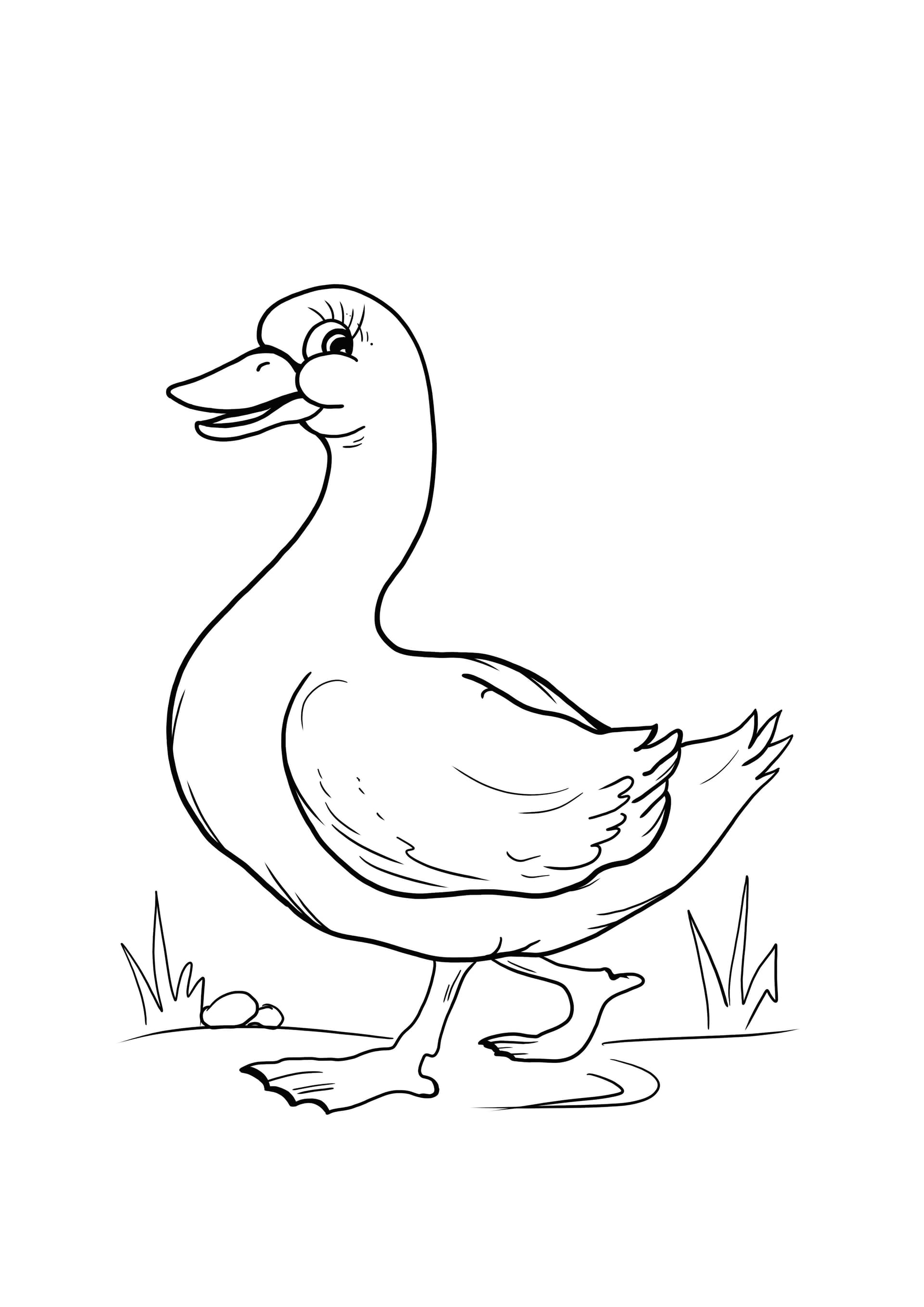 Goose