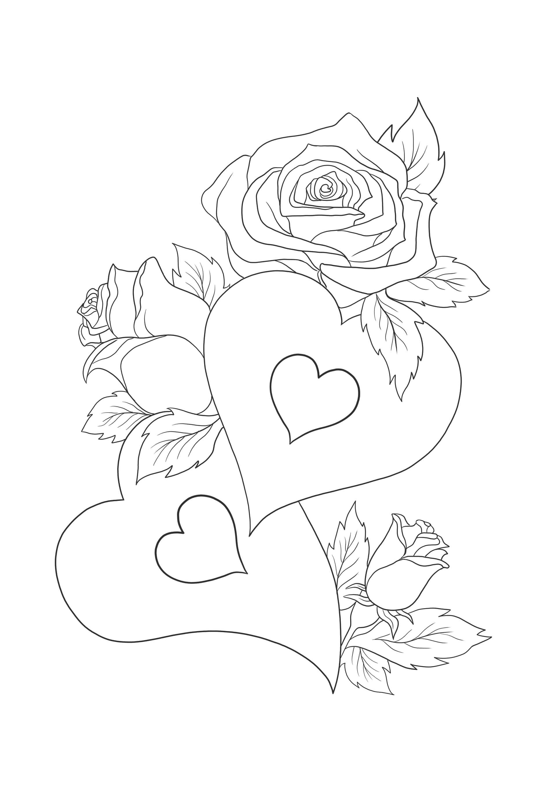 Hearts and roses card