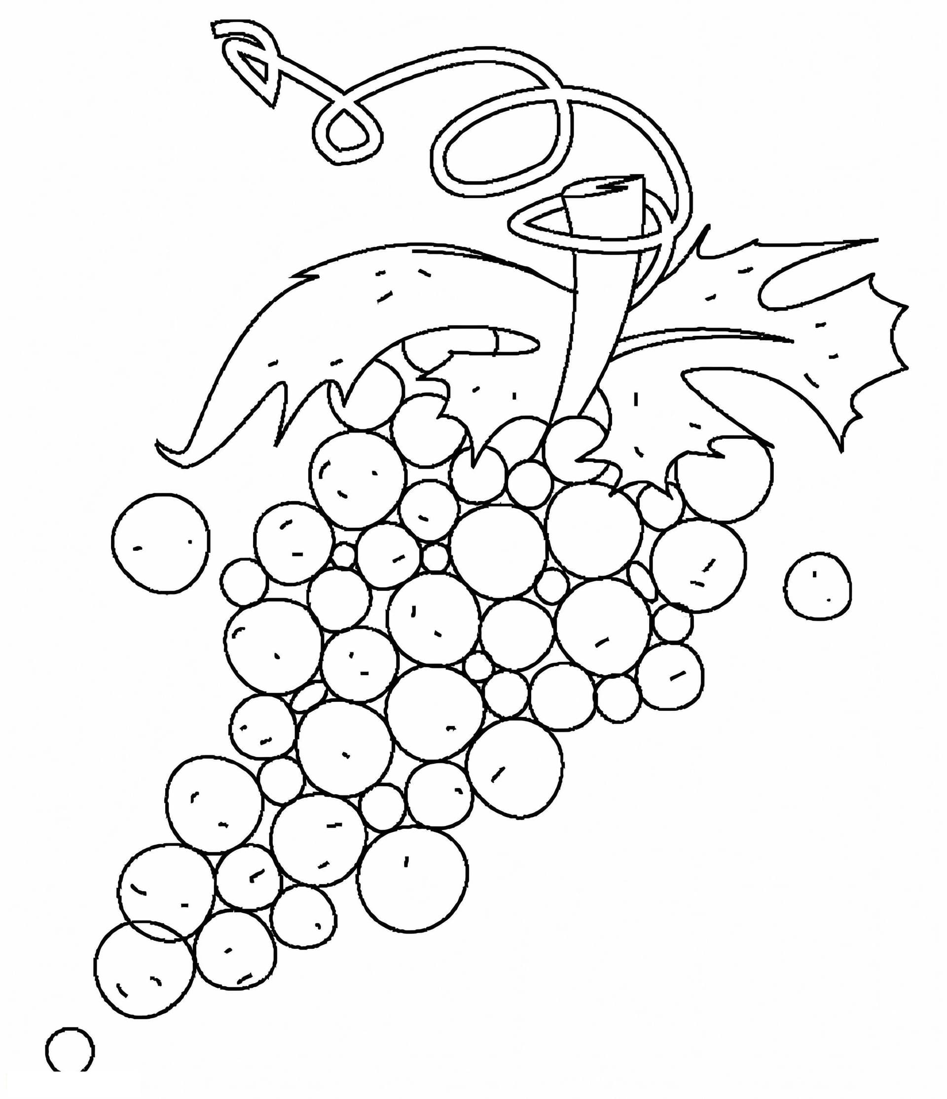 Images Without Grapes