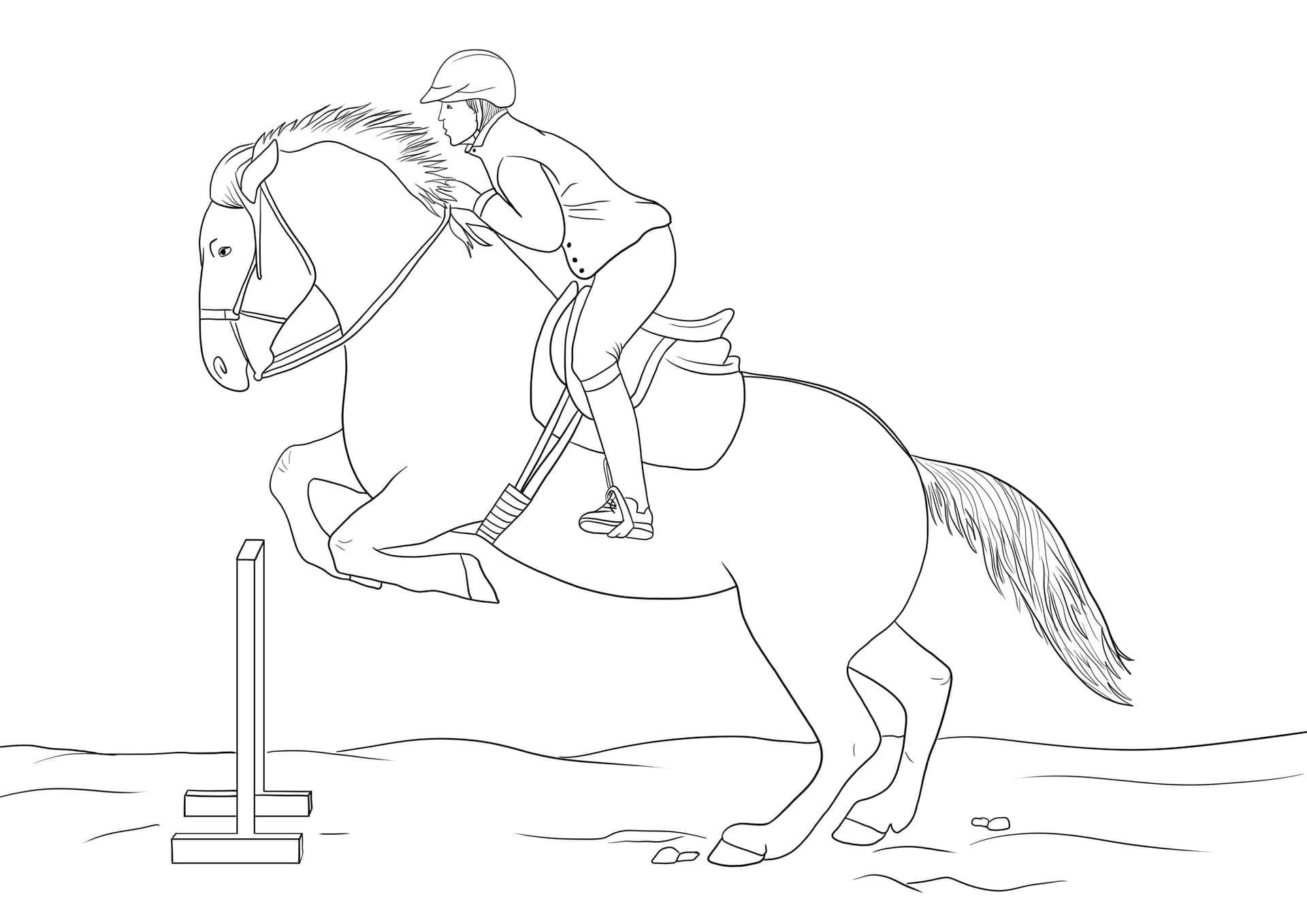 Springendes Pferd und der Reiter