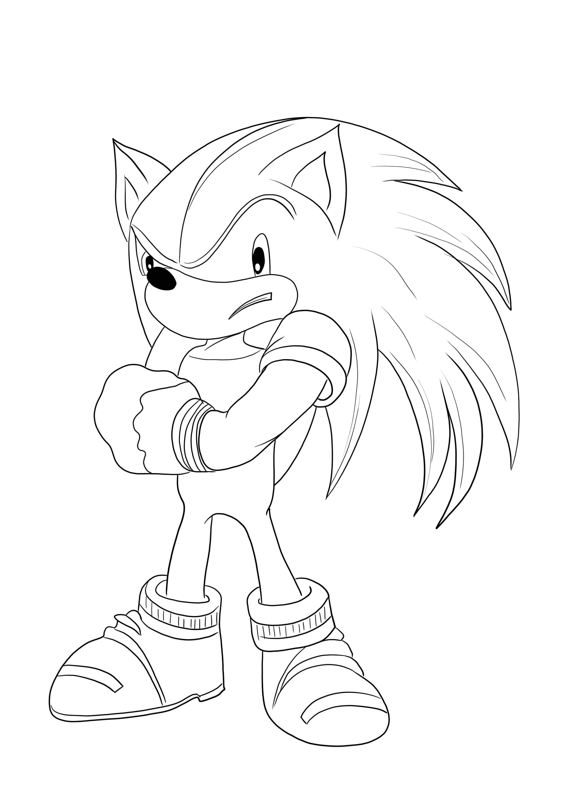 Knuckles the Echidna