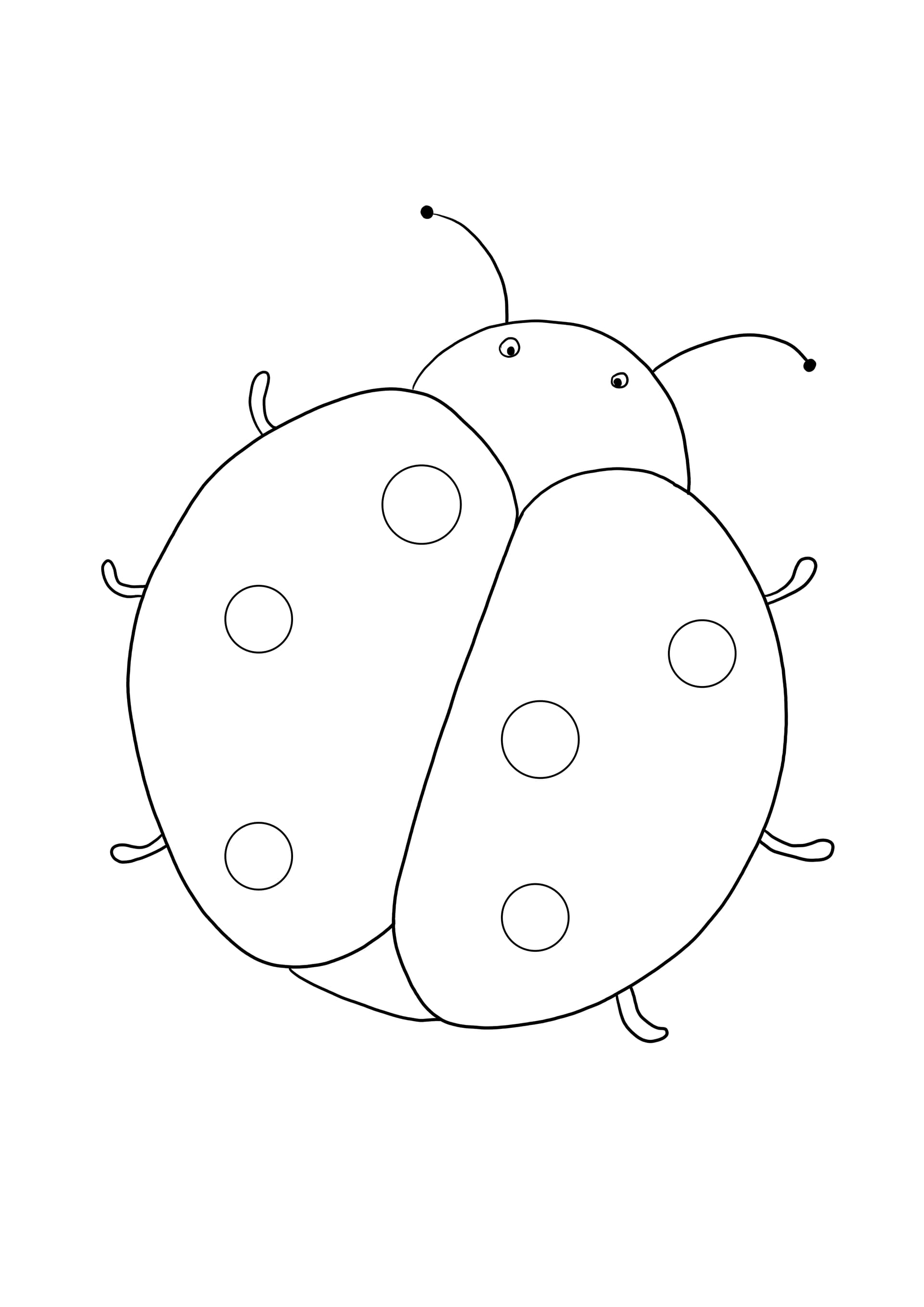 ladybug-1