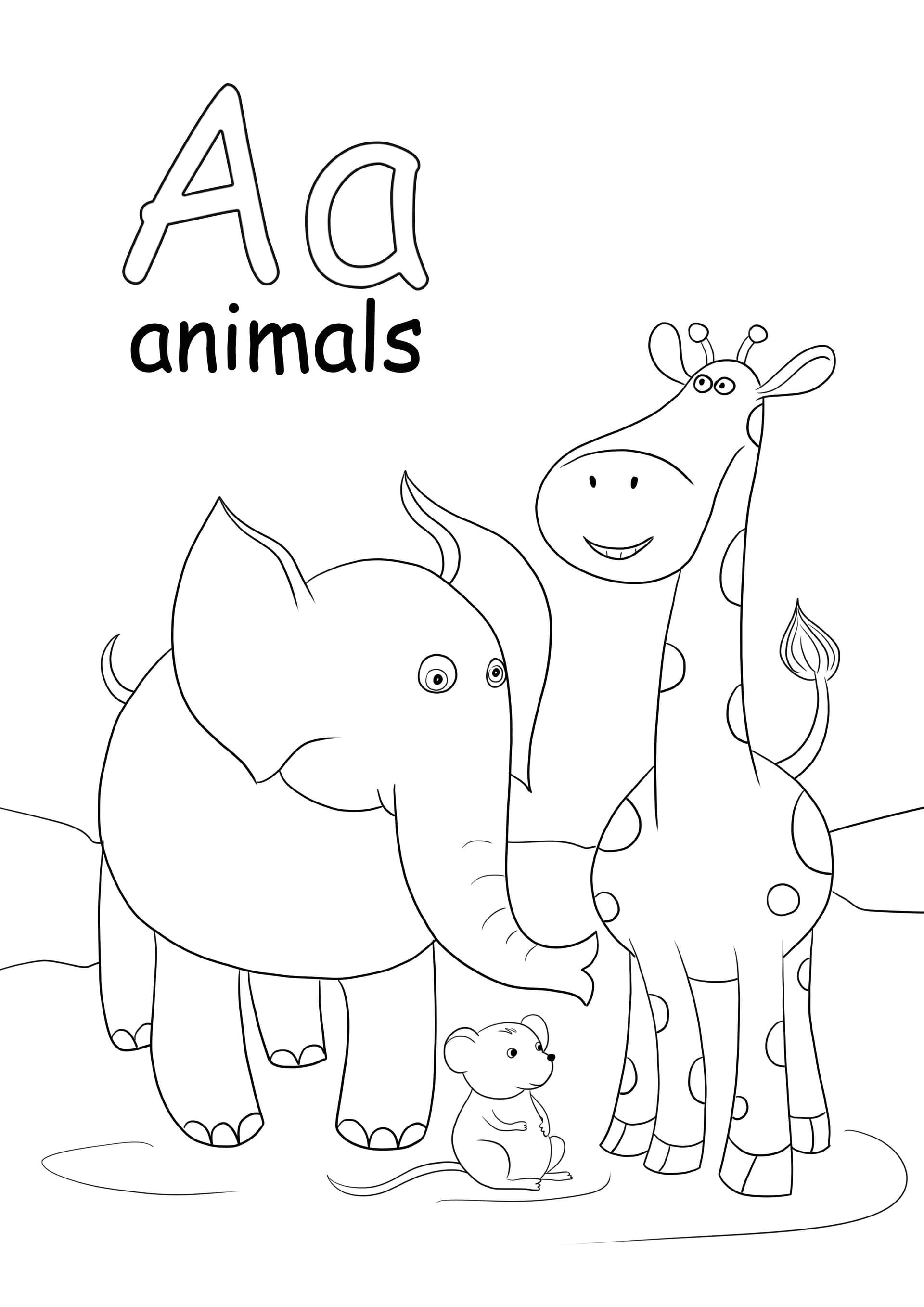 Letter A is for animals