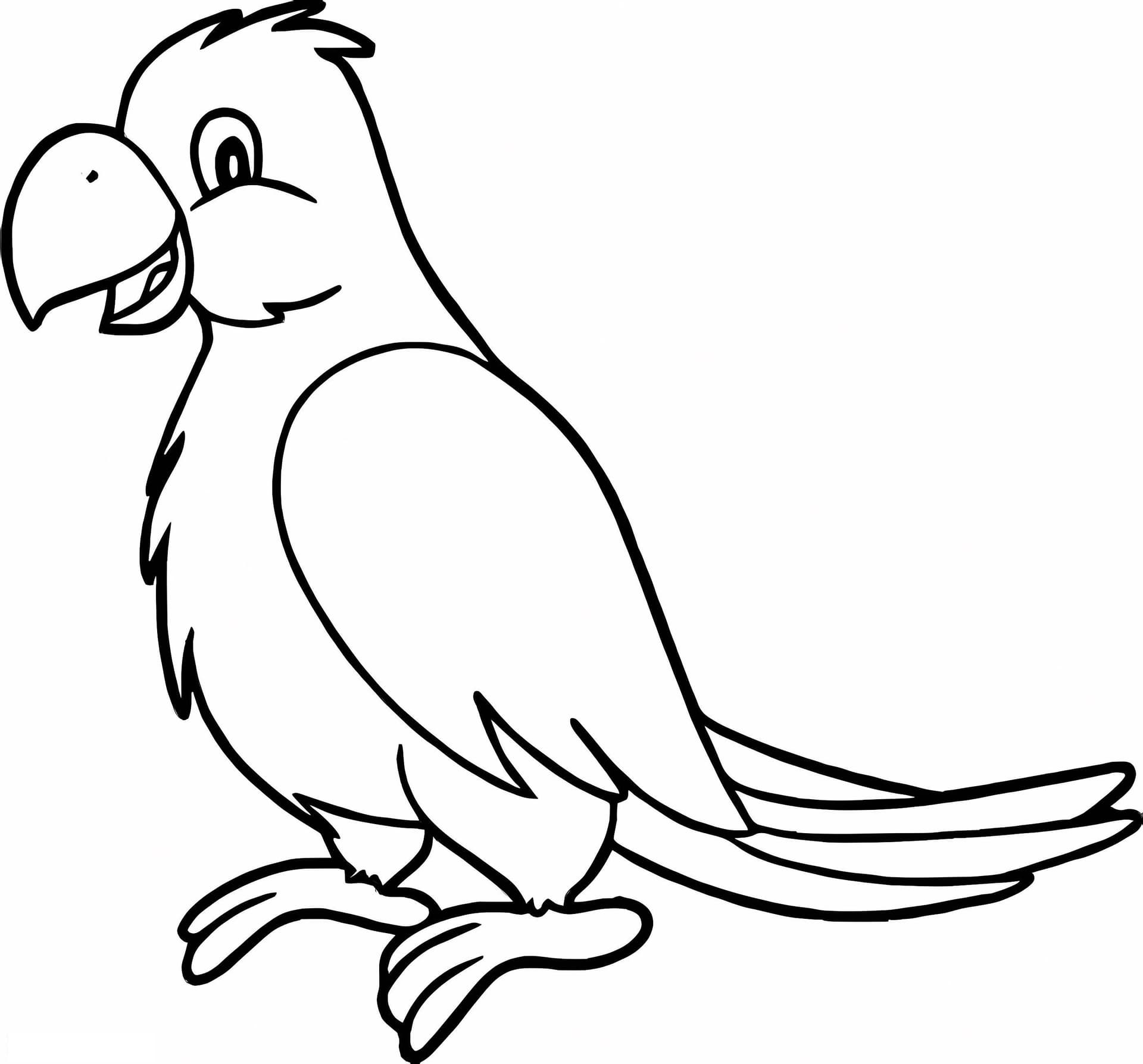 Funny Parrot