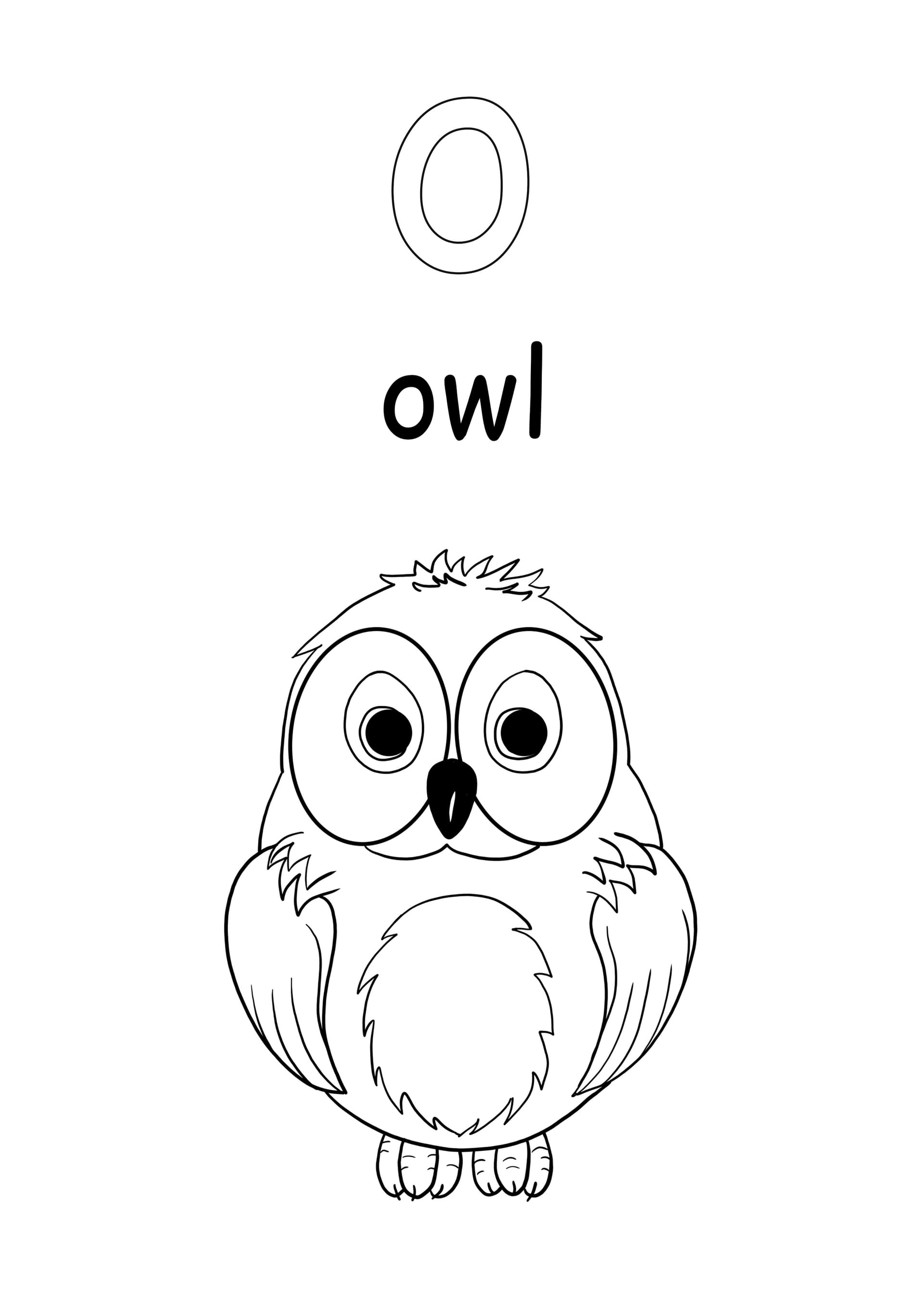 Lowercase word owl and letter o