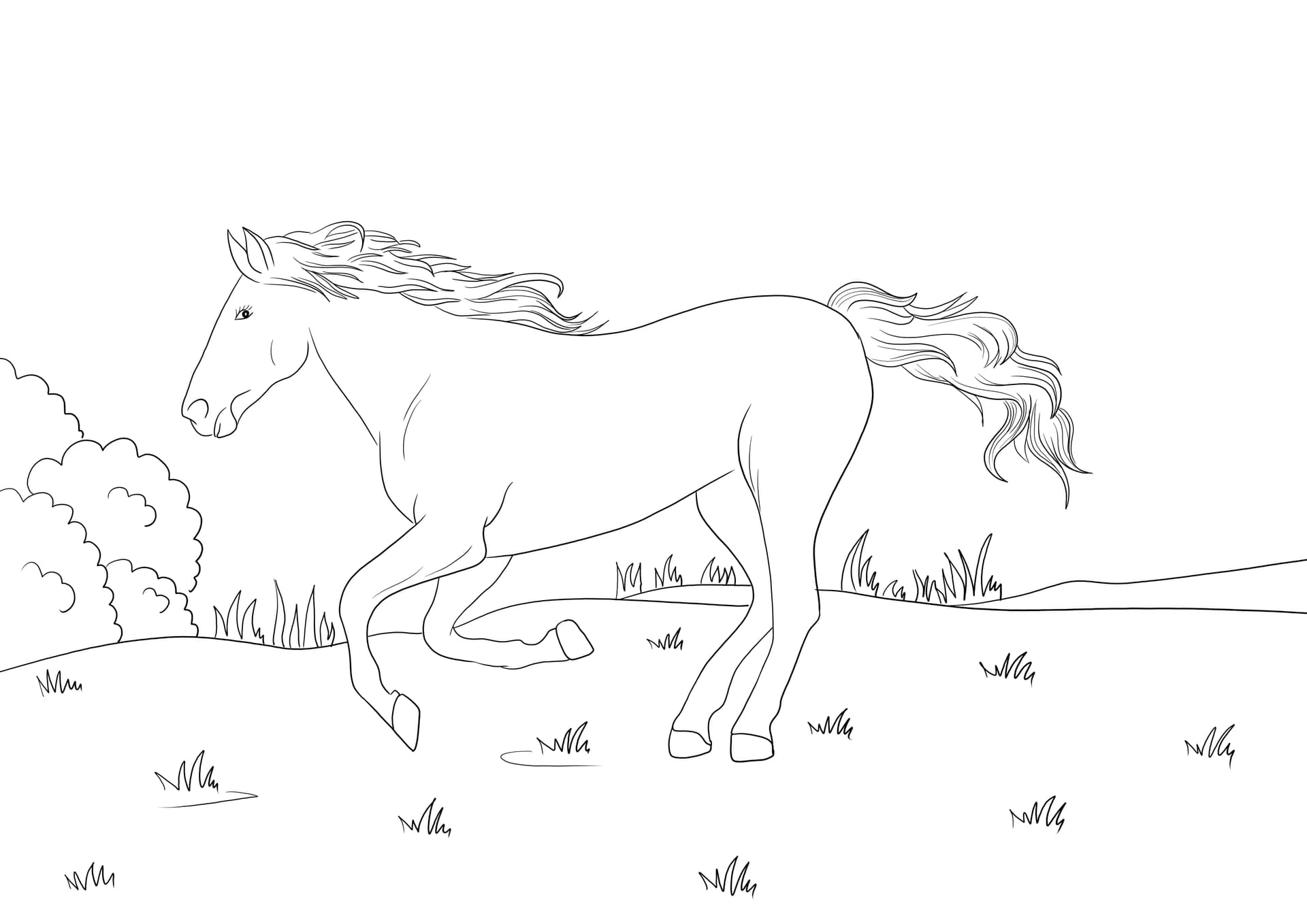 Mustang-Pferd