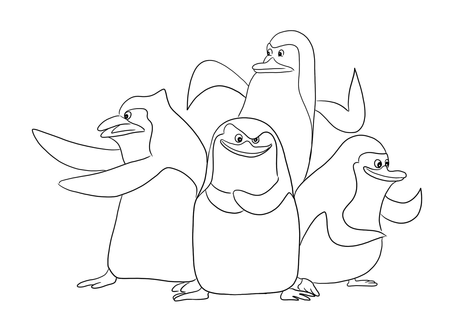 Madagascar Penguins