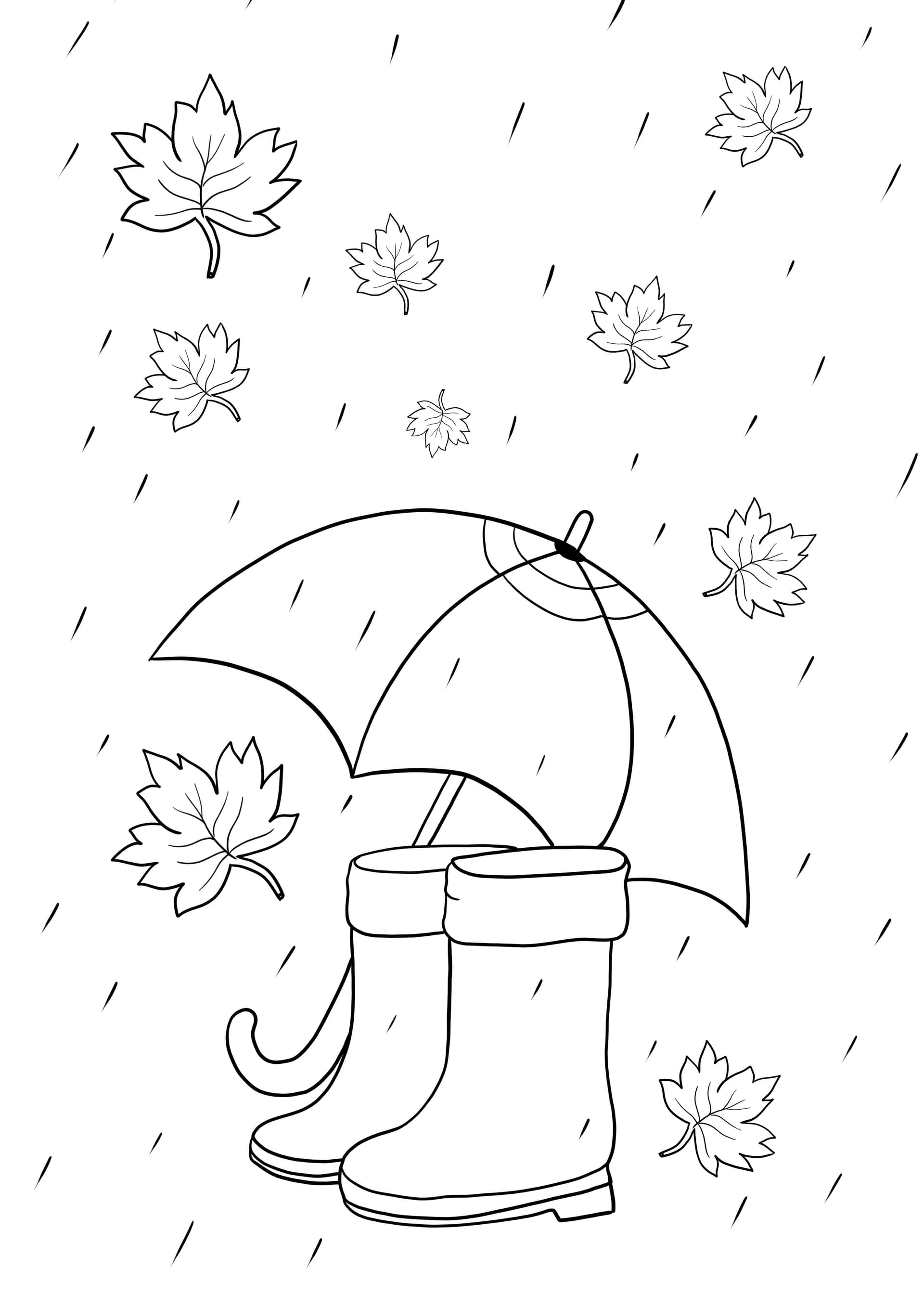 Rainy weather items