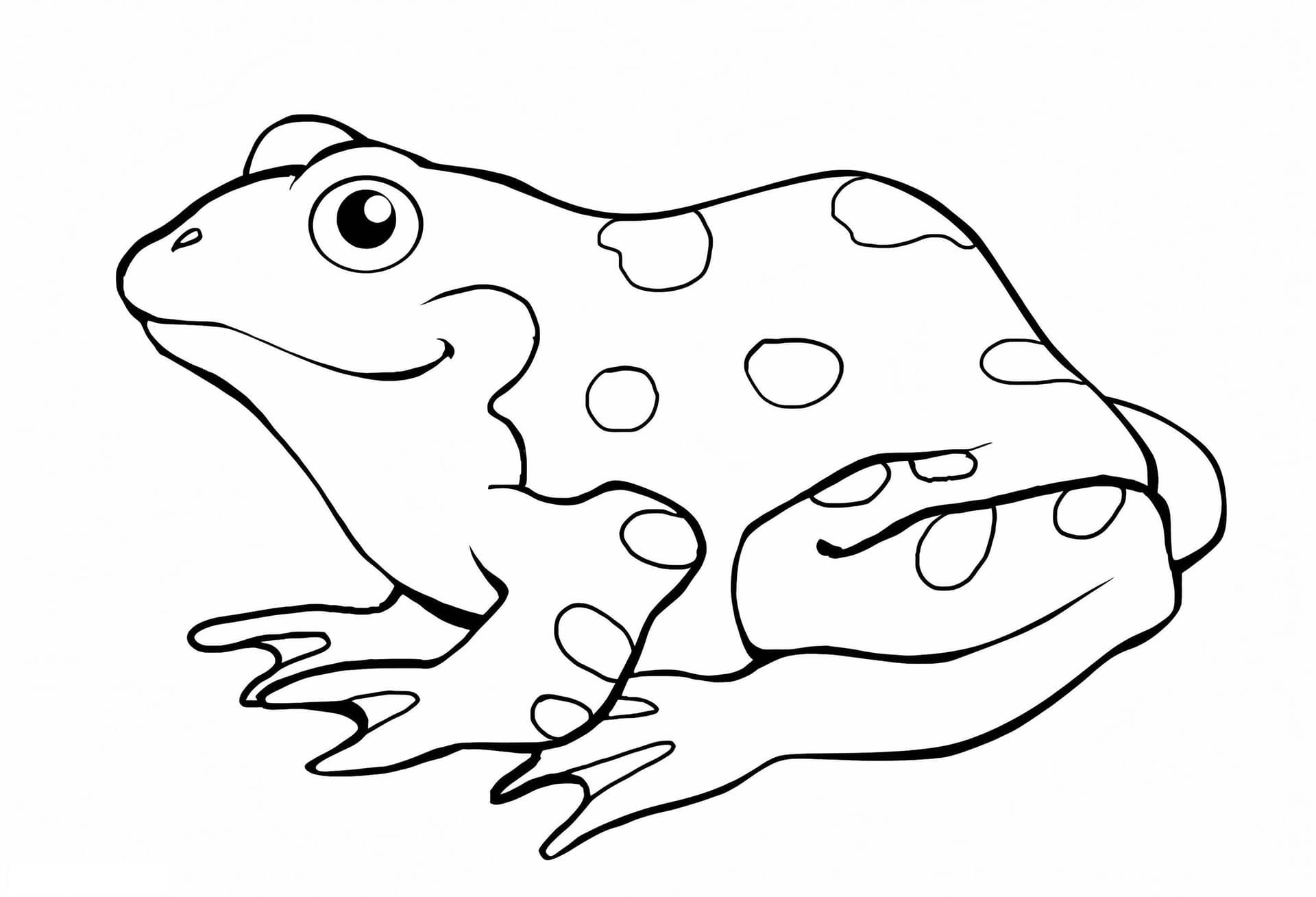 Simple Frog