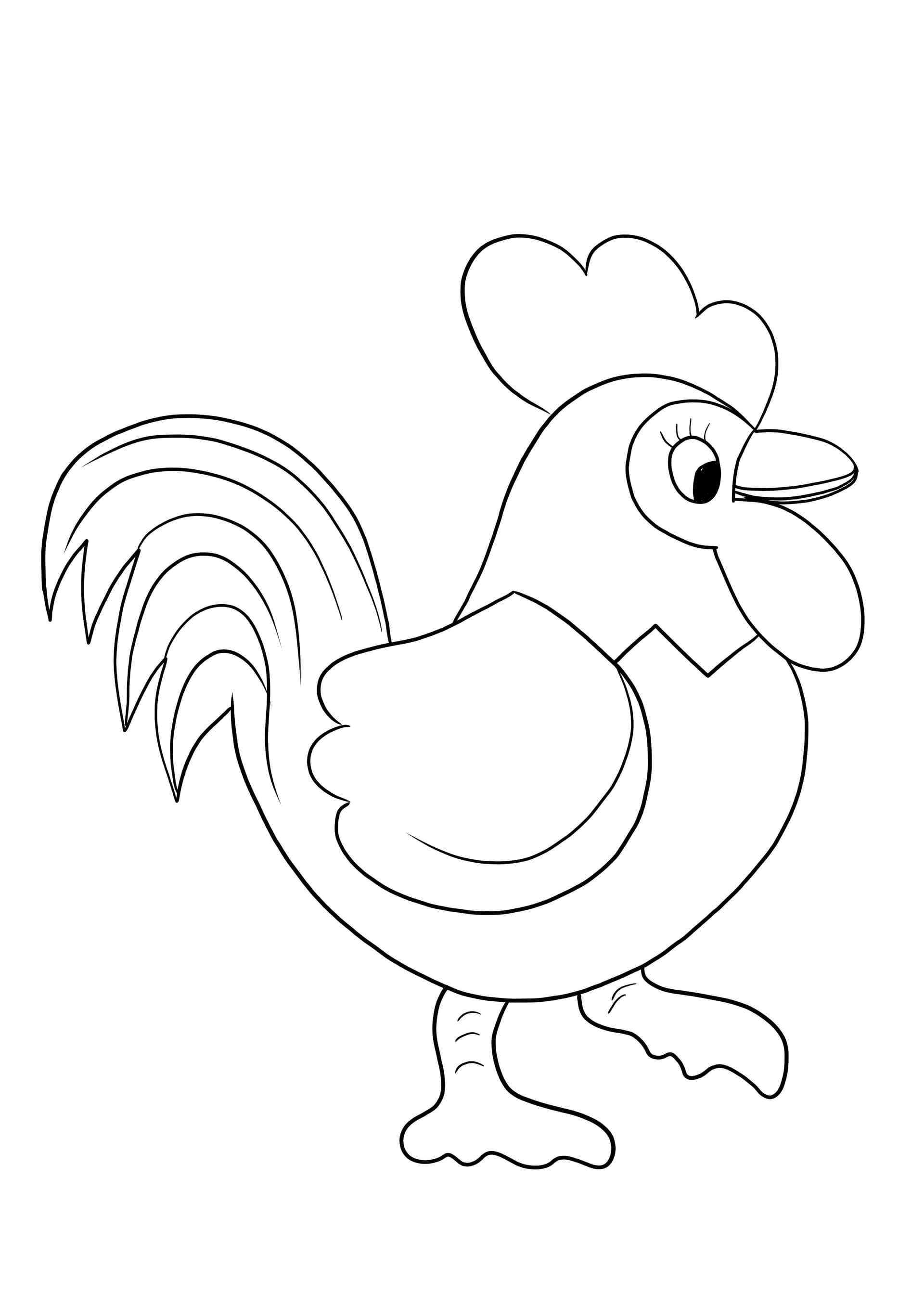 Rooster
