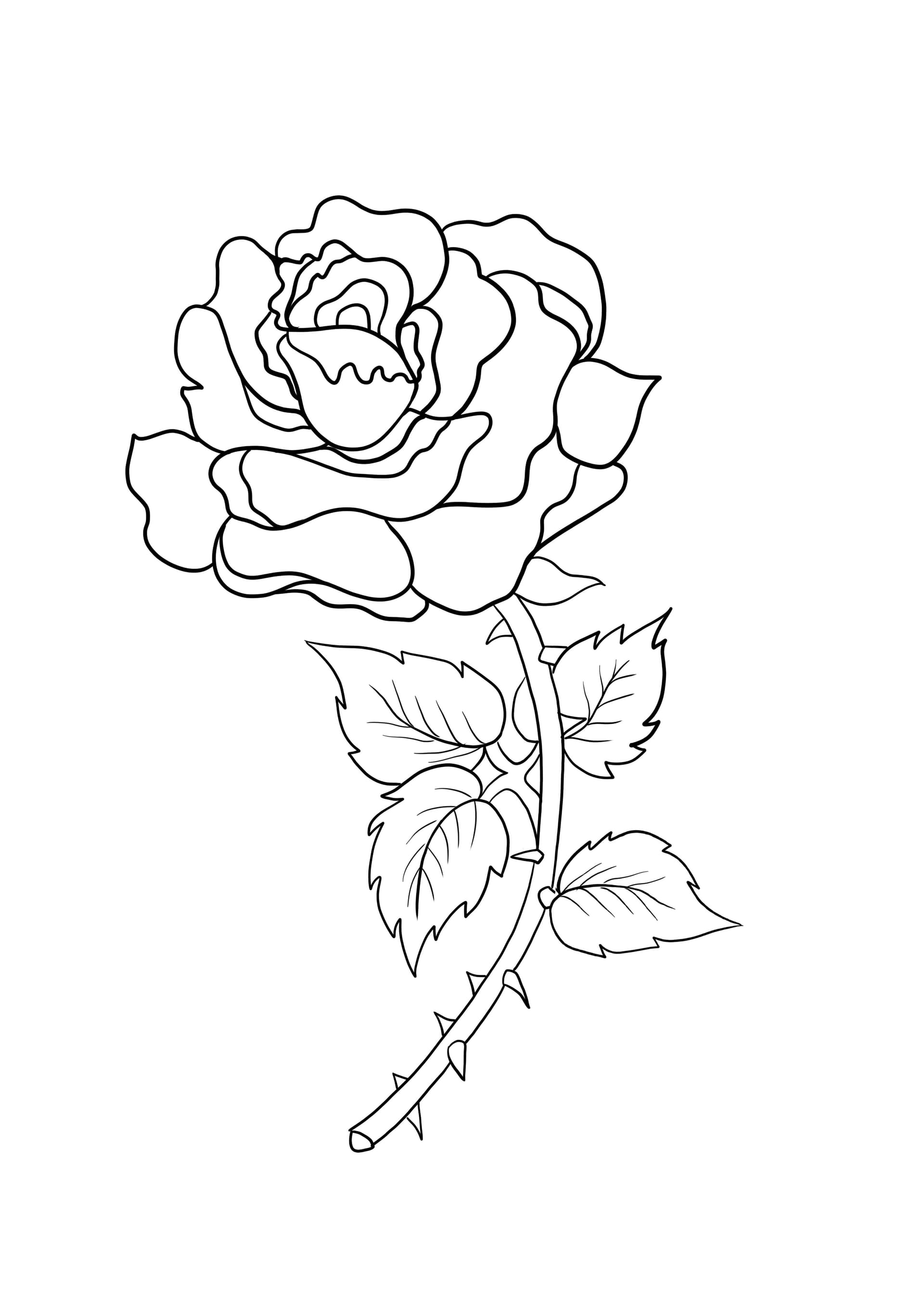 Rose mit Dornen