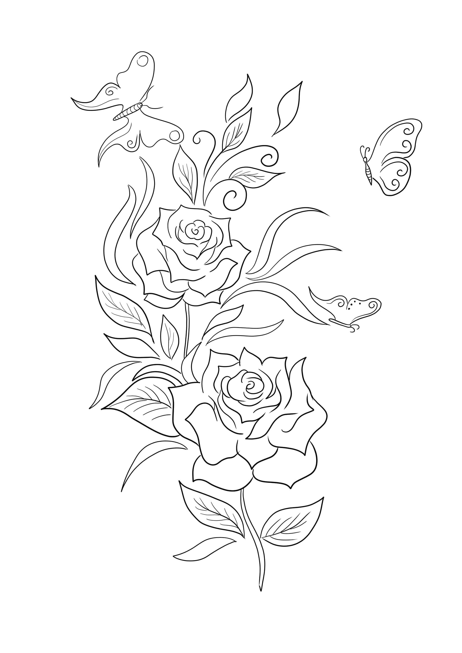 Roses and butterflies
