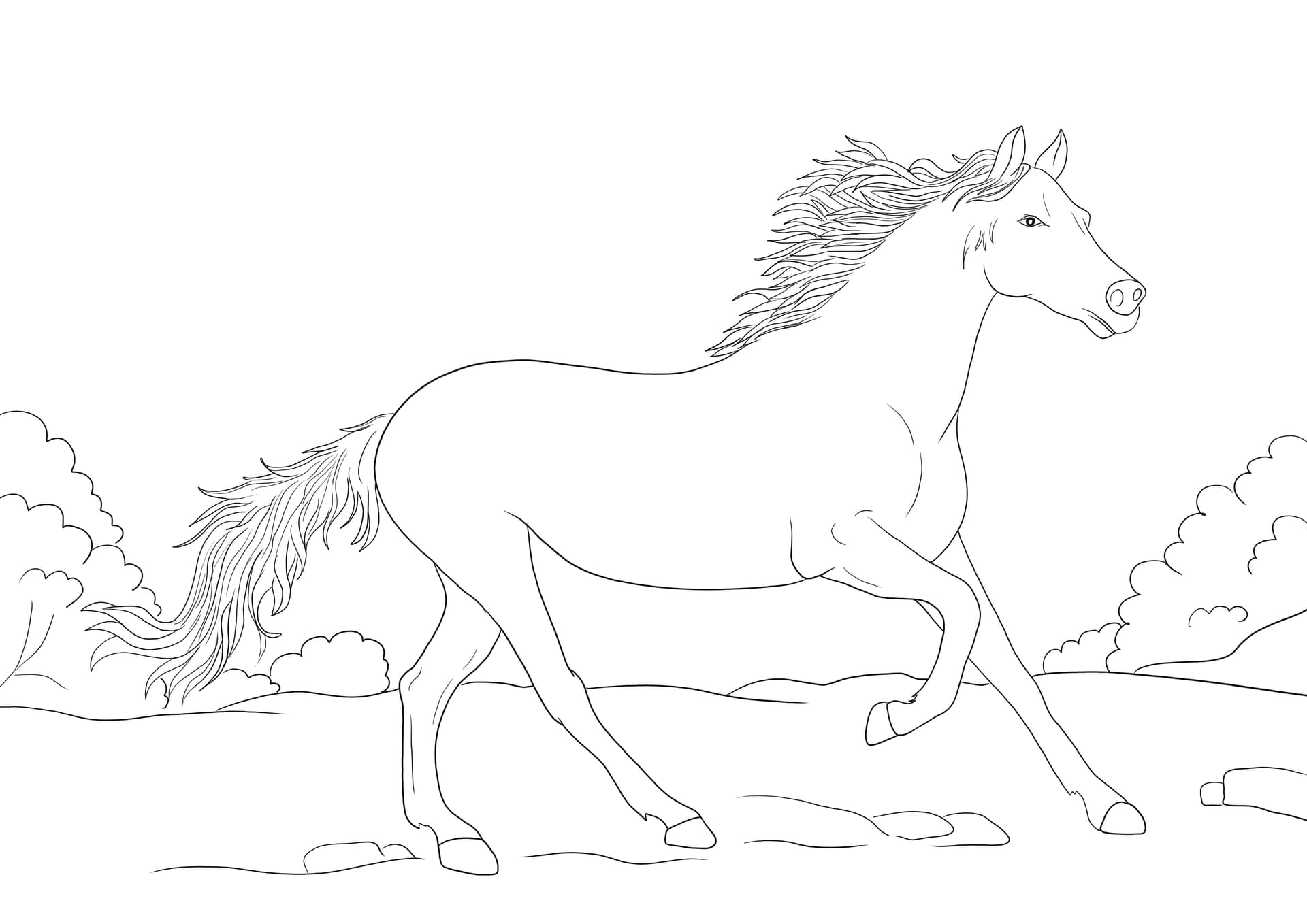 Running Arabian Horse