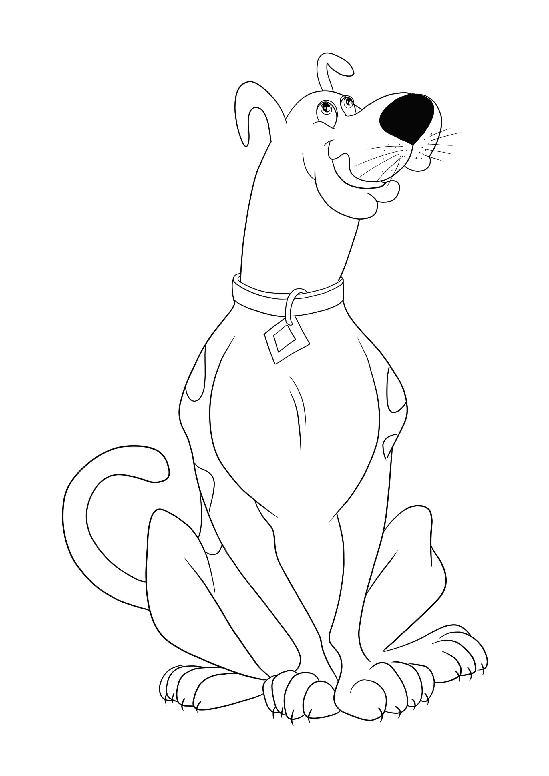 Scooby Doo