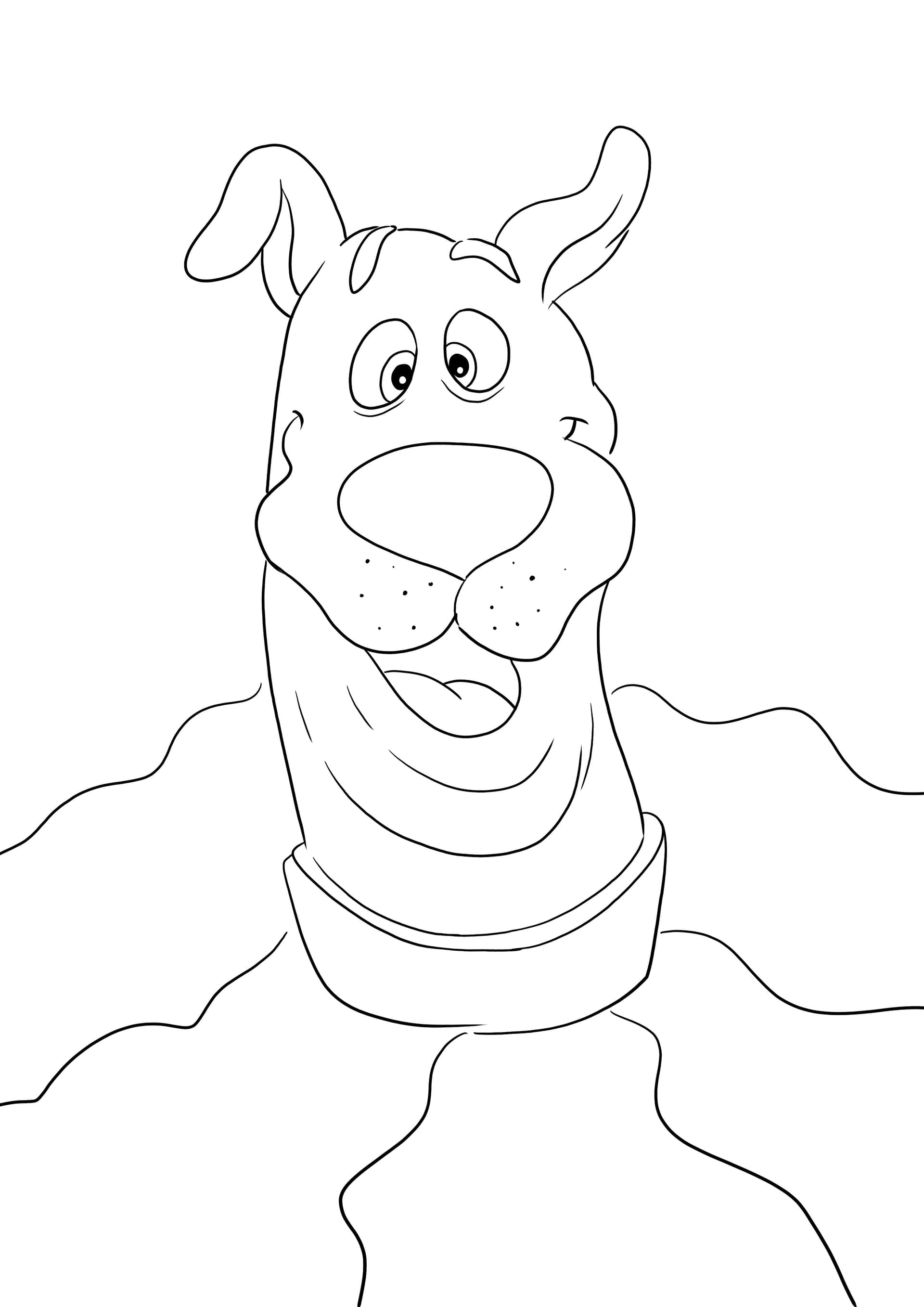 Scooby's funny face