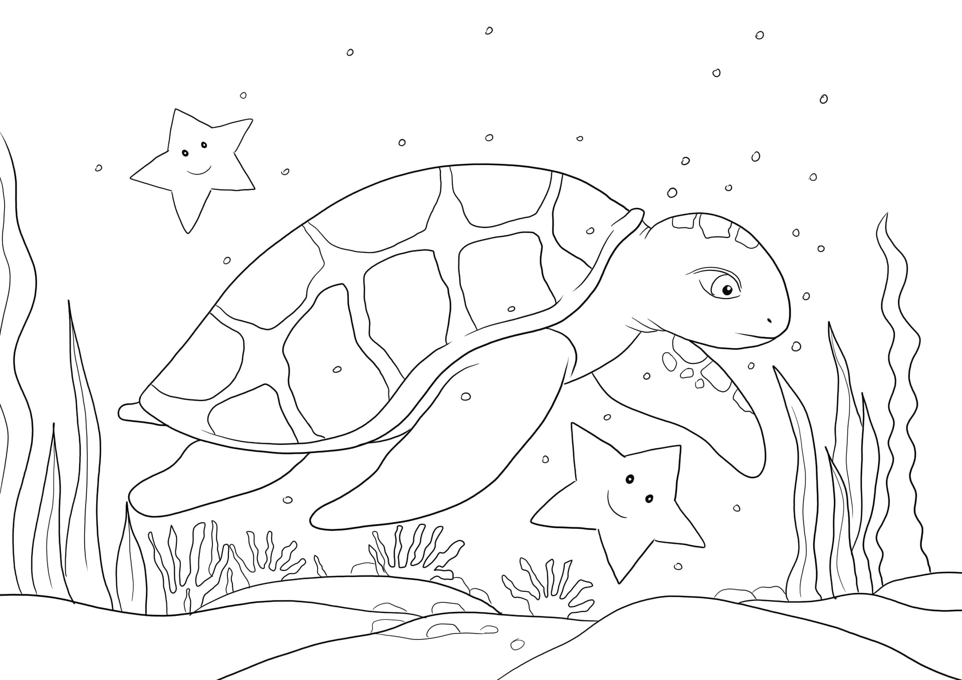 Sea Turtle