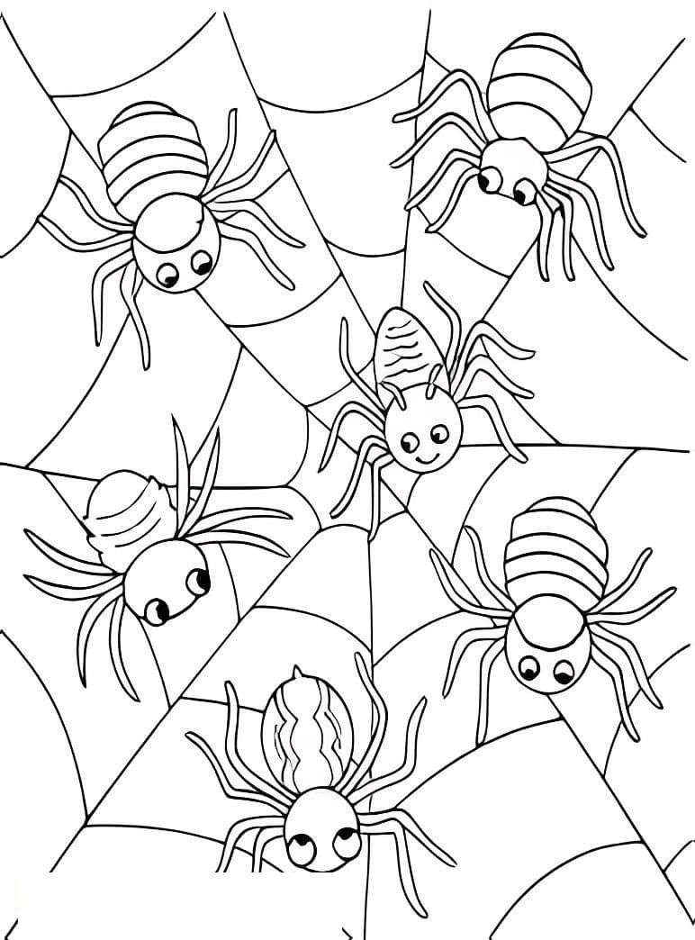 Six Spider Nests