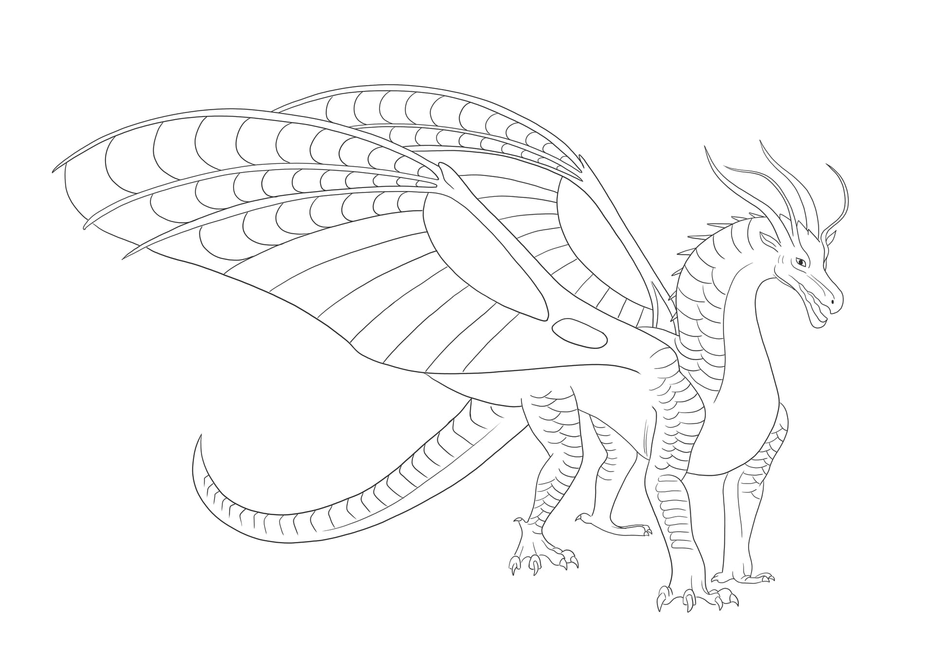 Silkwing Dragon