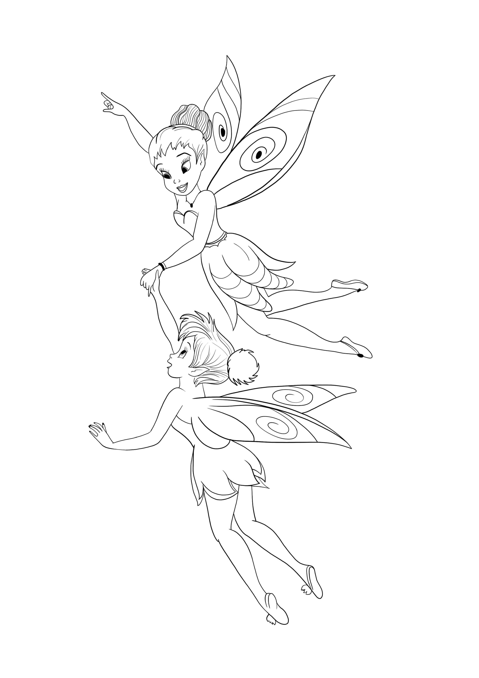 Tinkerbell und Iridessa