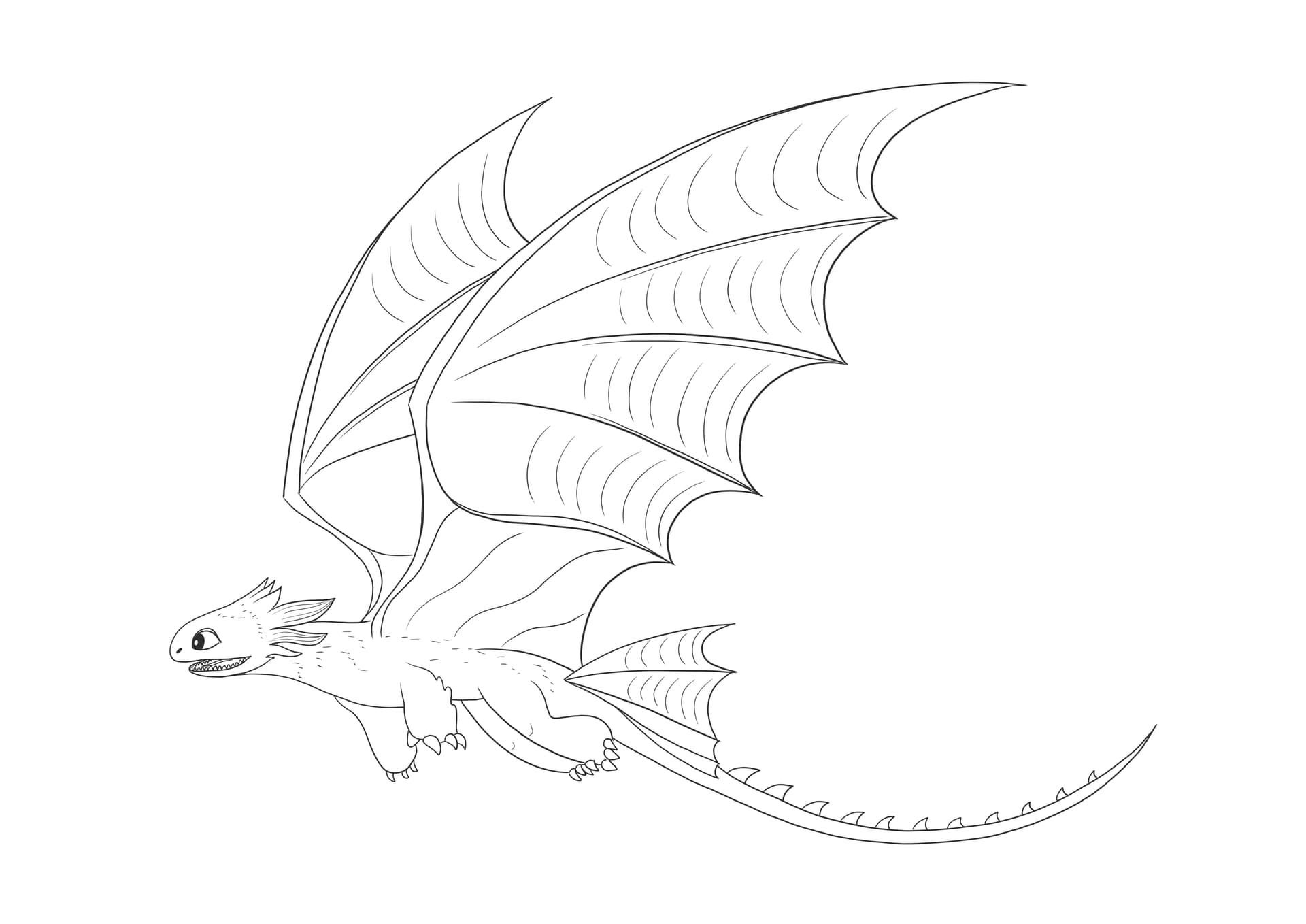 Toothless Dragon