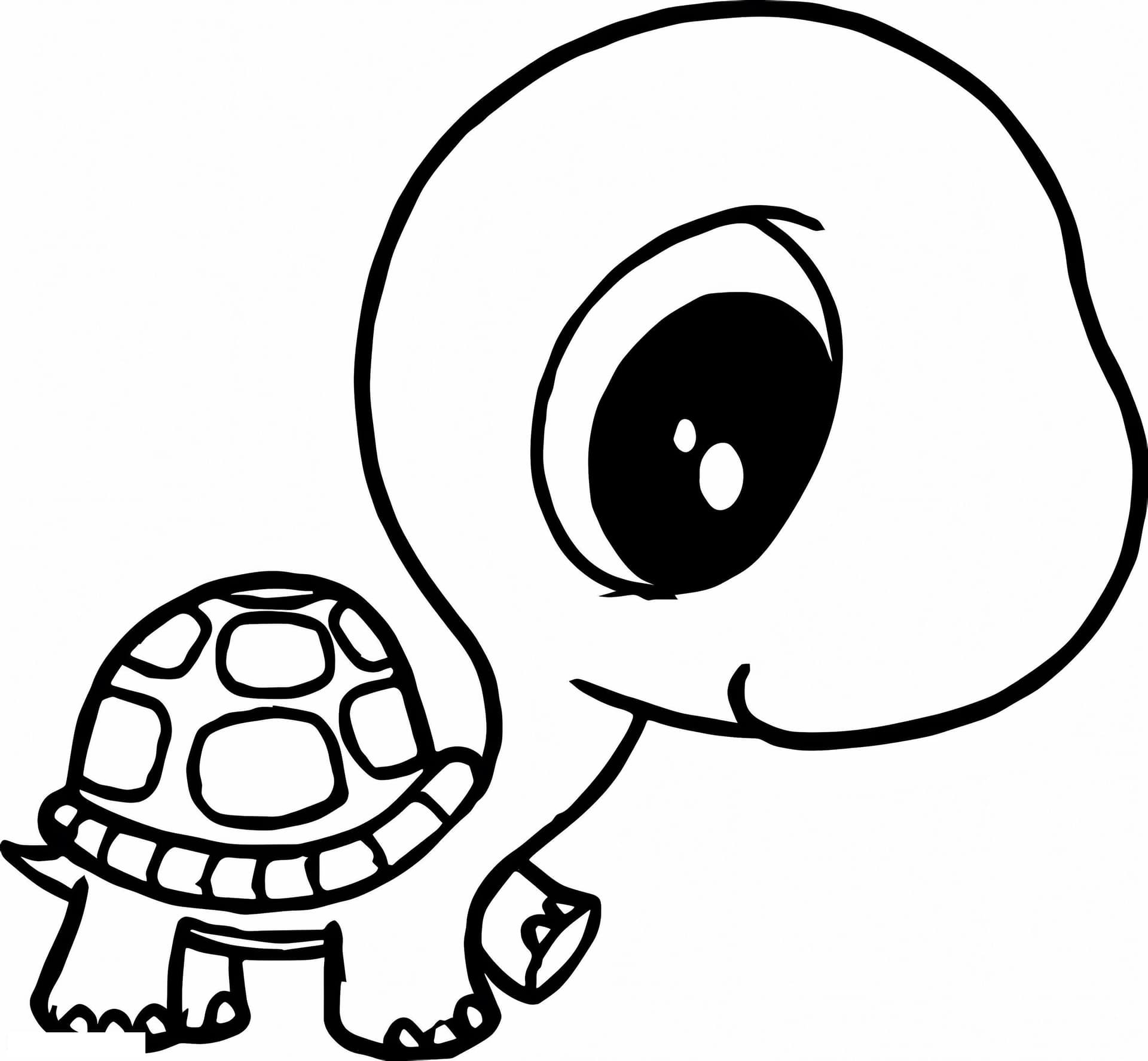 Cute Turtle