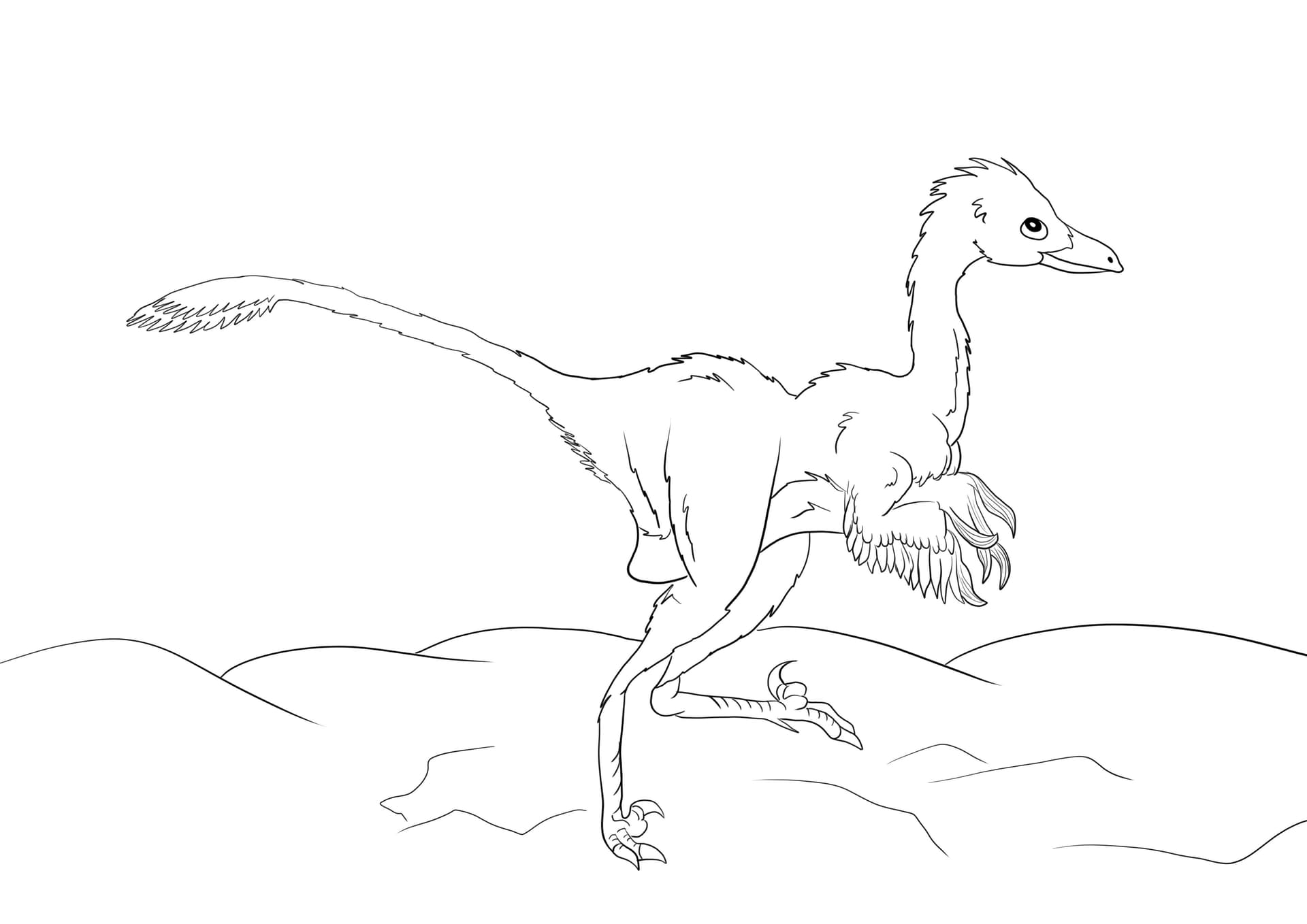 Troodon dinosaur