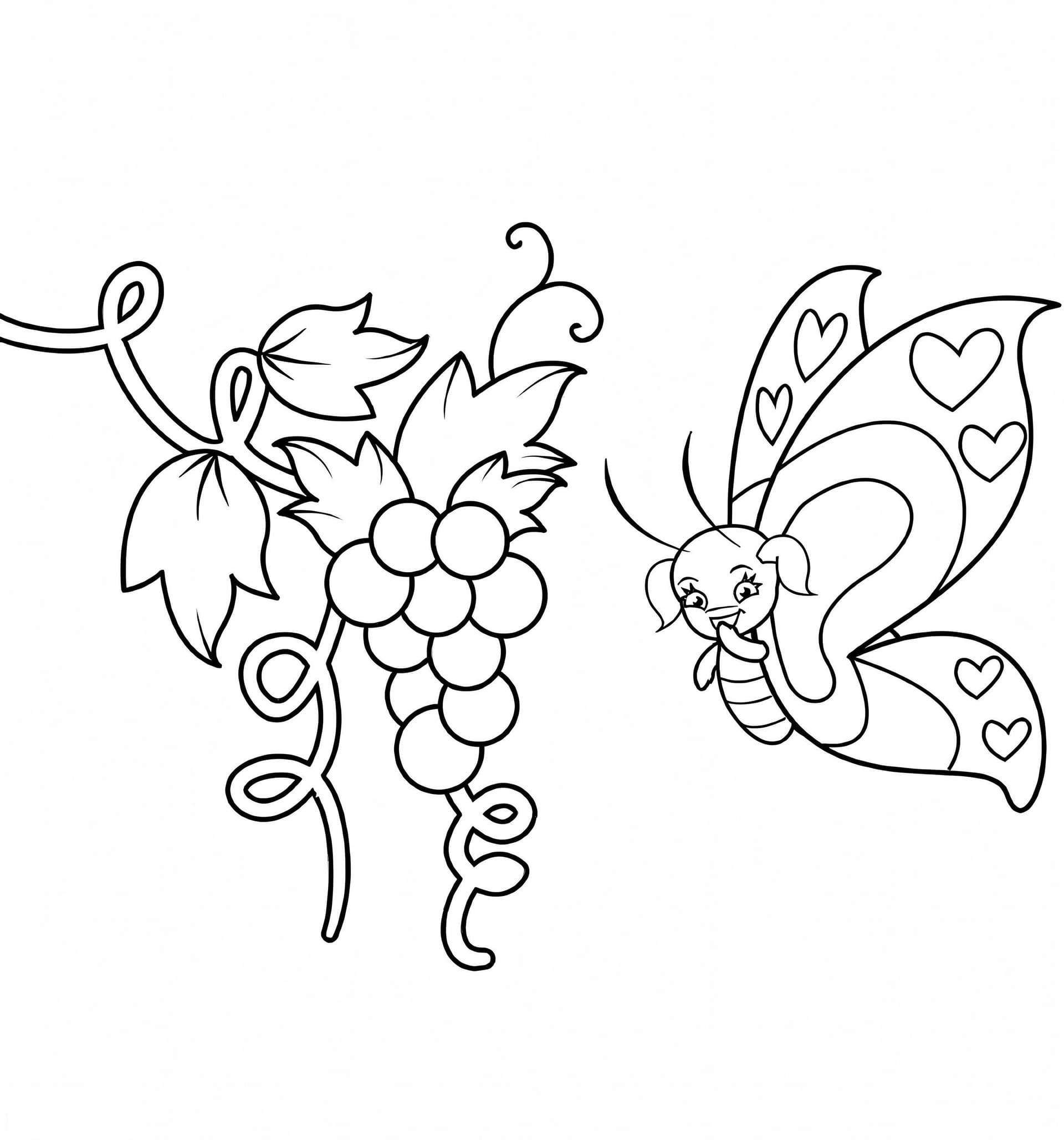 Grapes And Butterfly