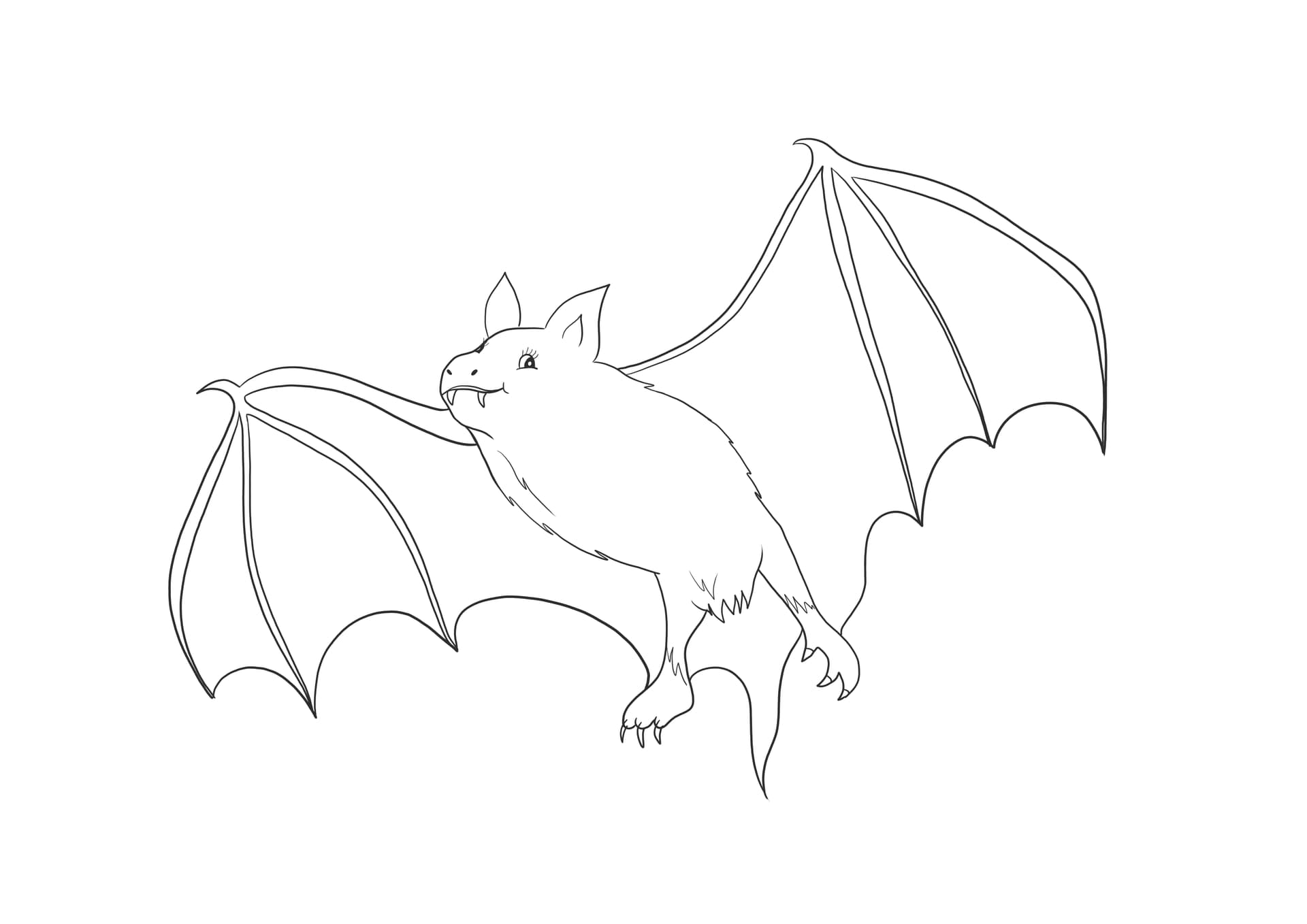 Vampire bat
