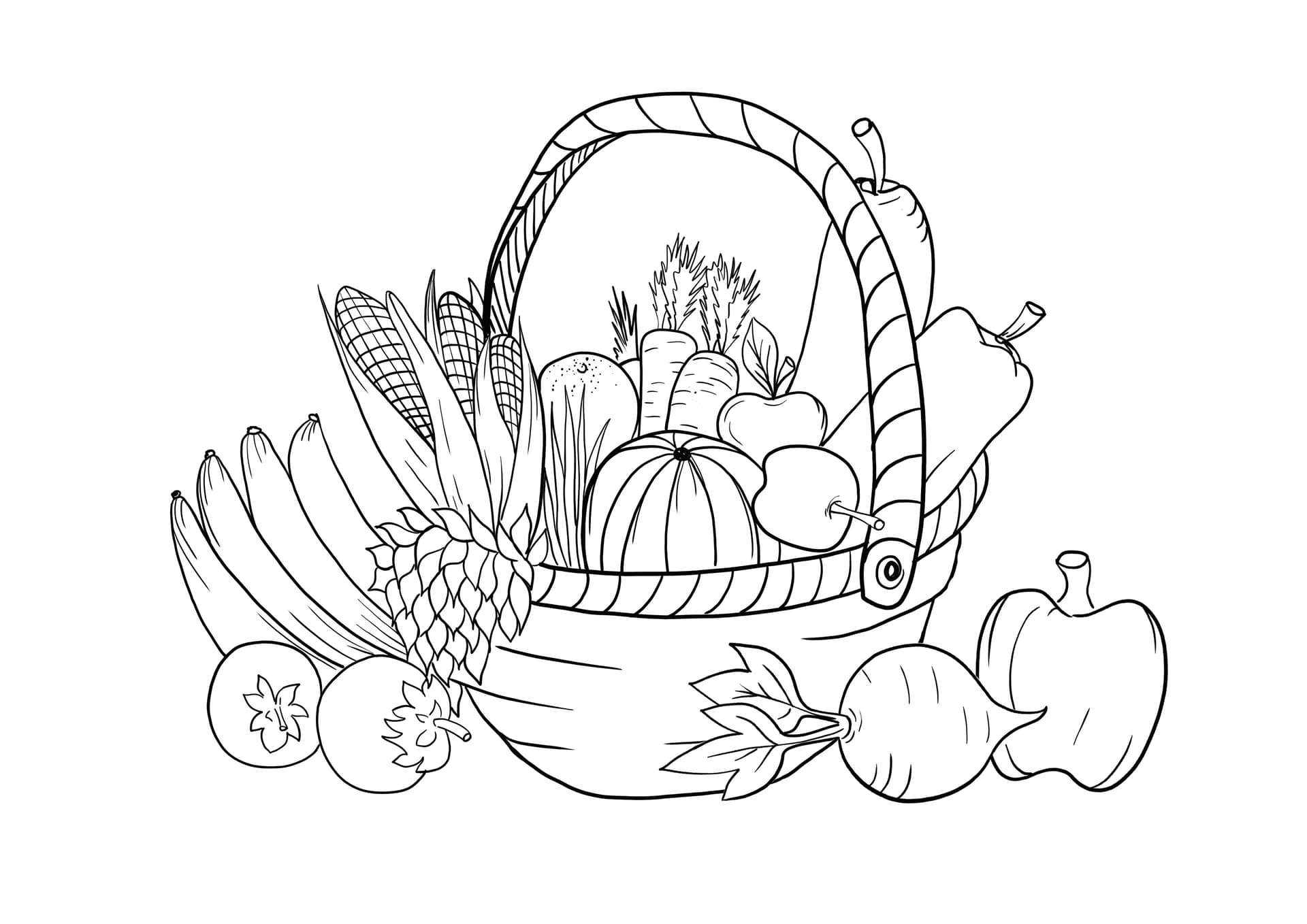vegetable harvest basket