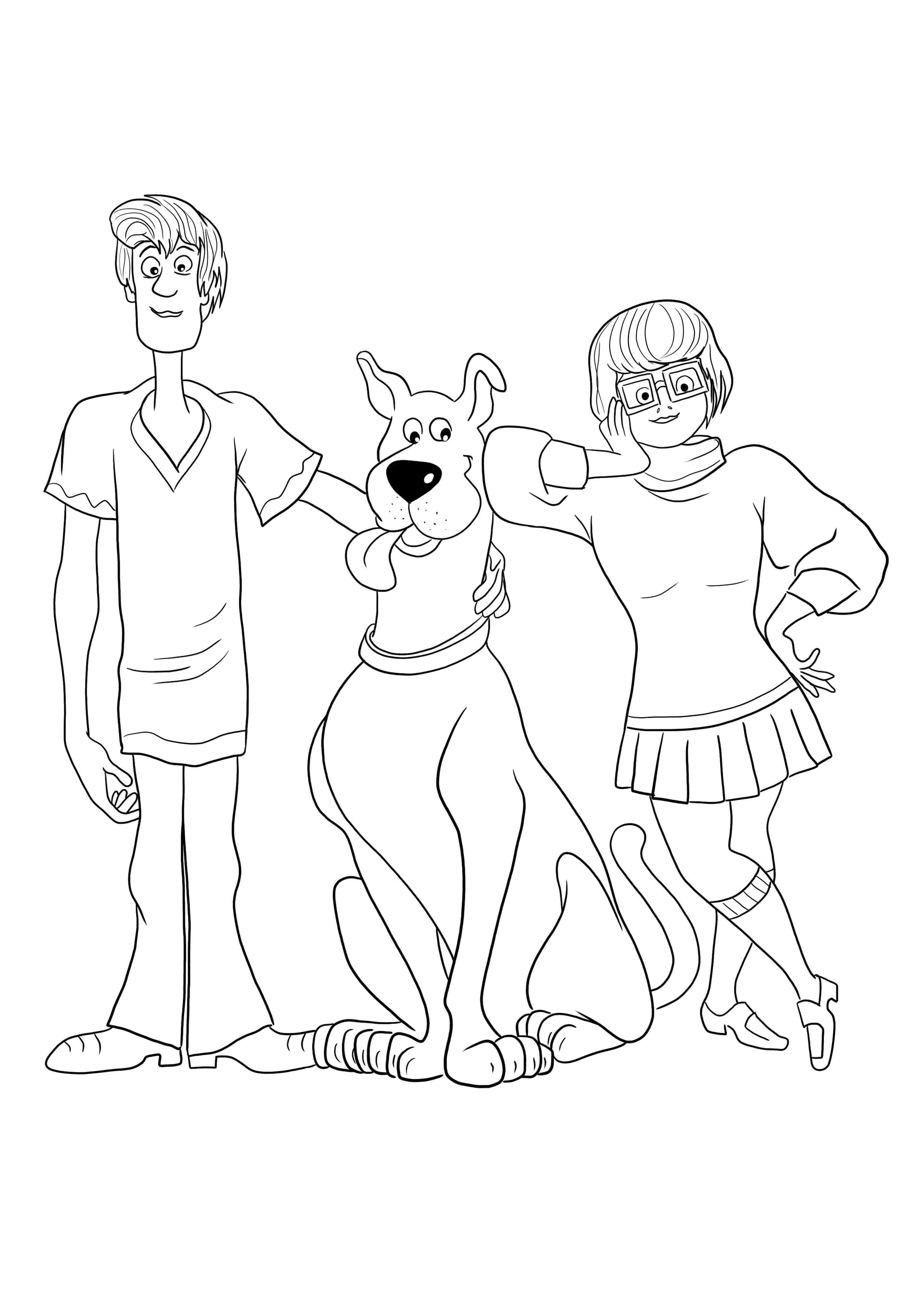 Velma-Shaggy and Scooby-Doo
