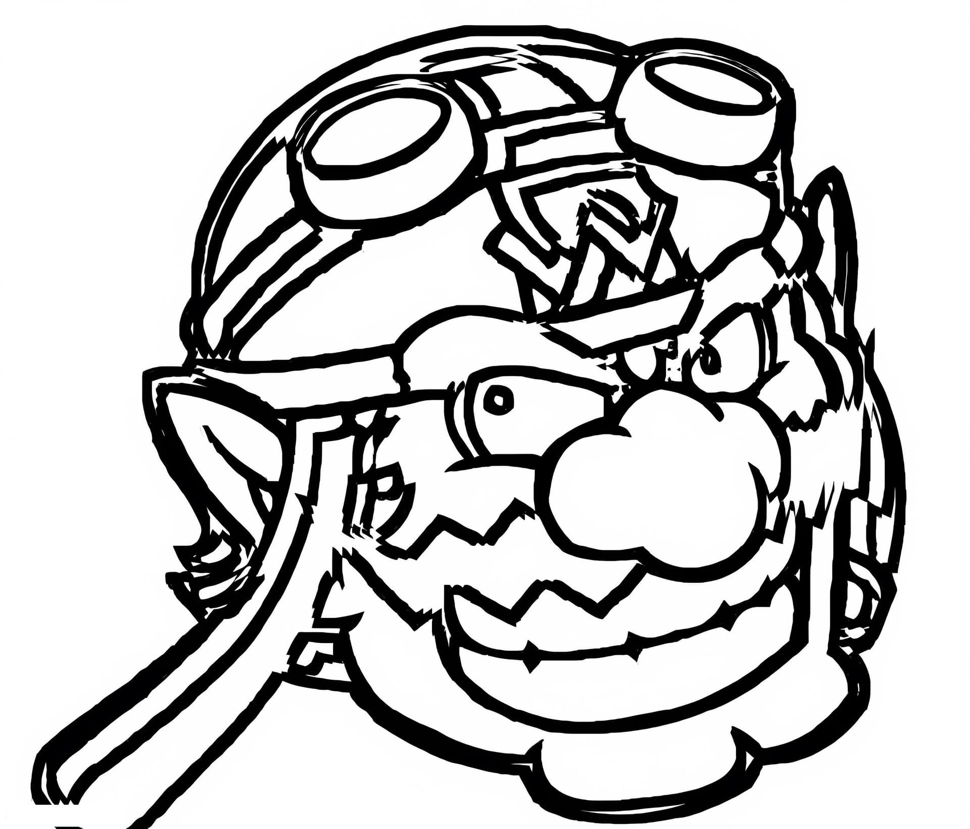 Wario From Super Mario 5