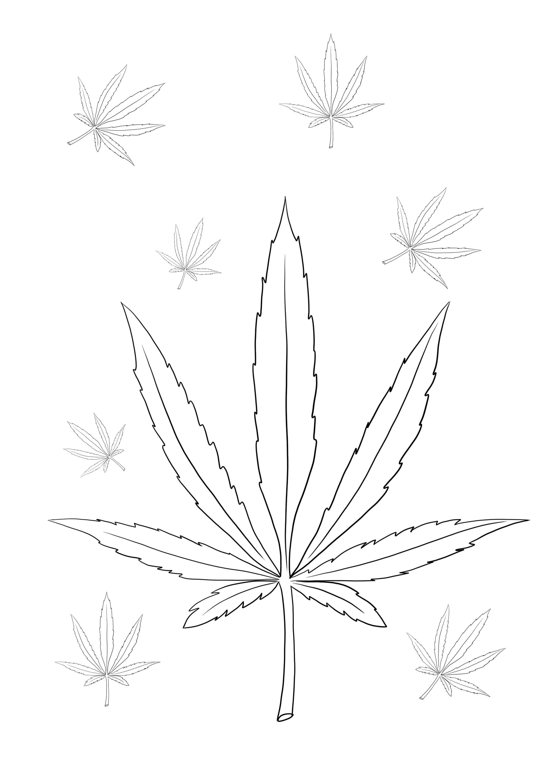 Weed leaf