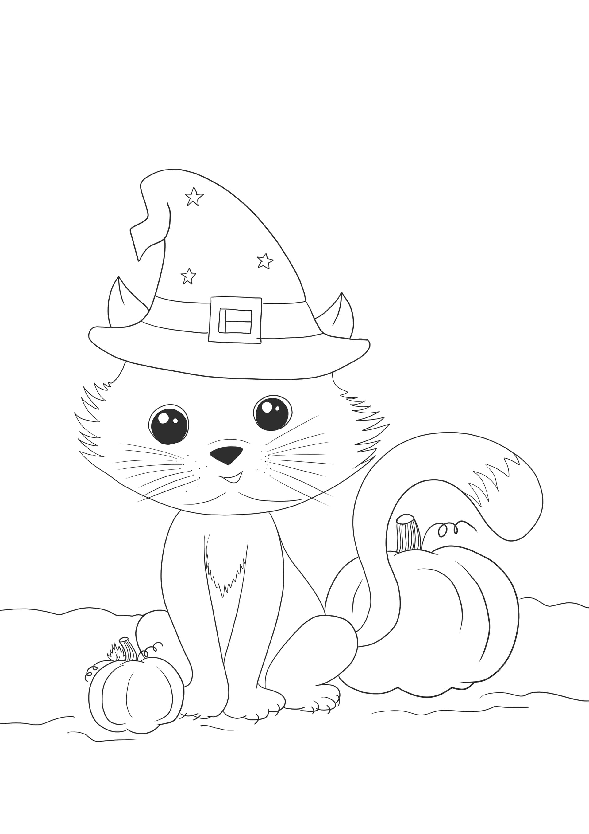 Witch cat and pumpkins