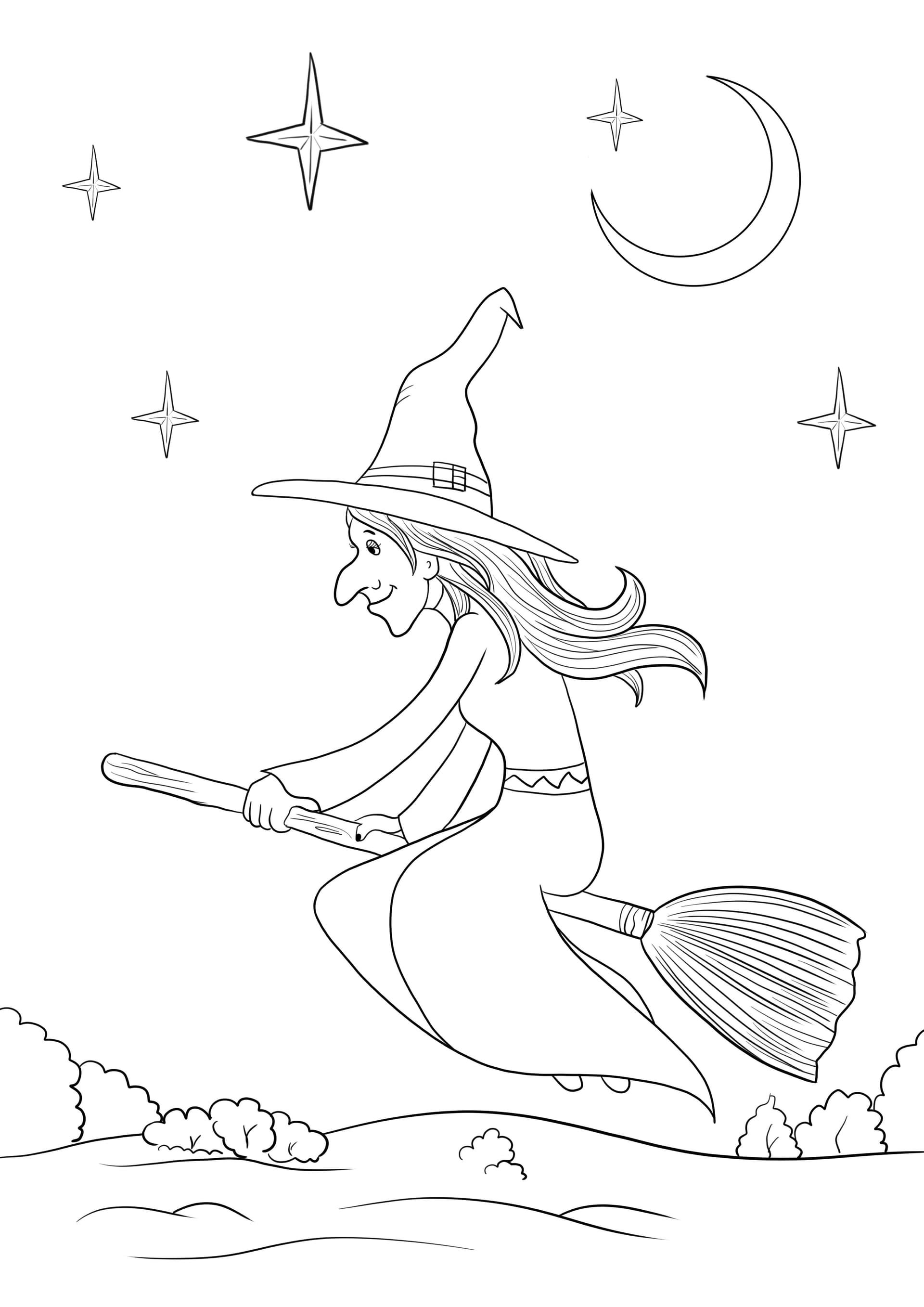 Witch riding a broomstick