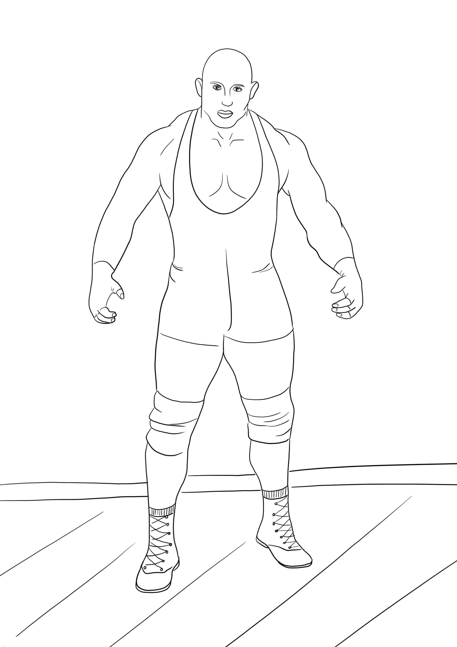WWE Ryback