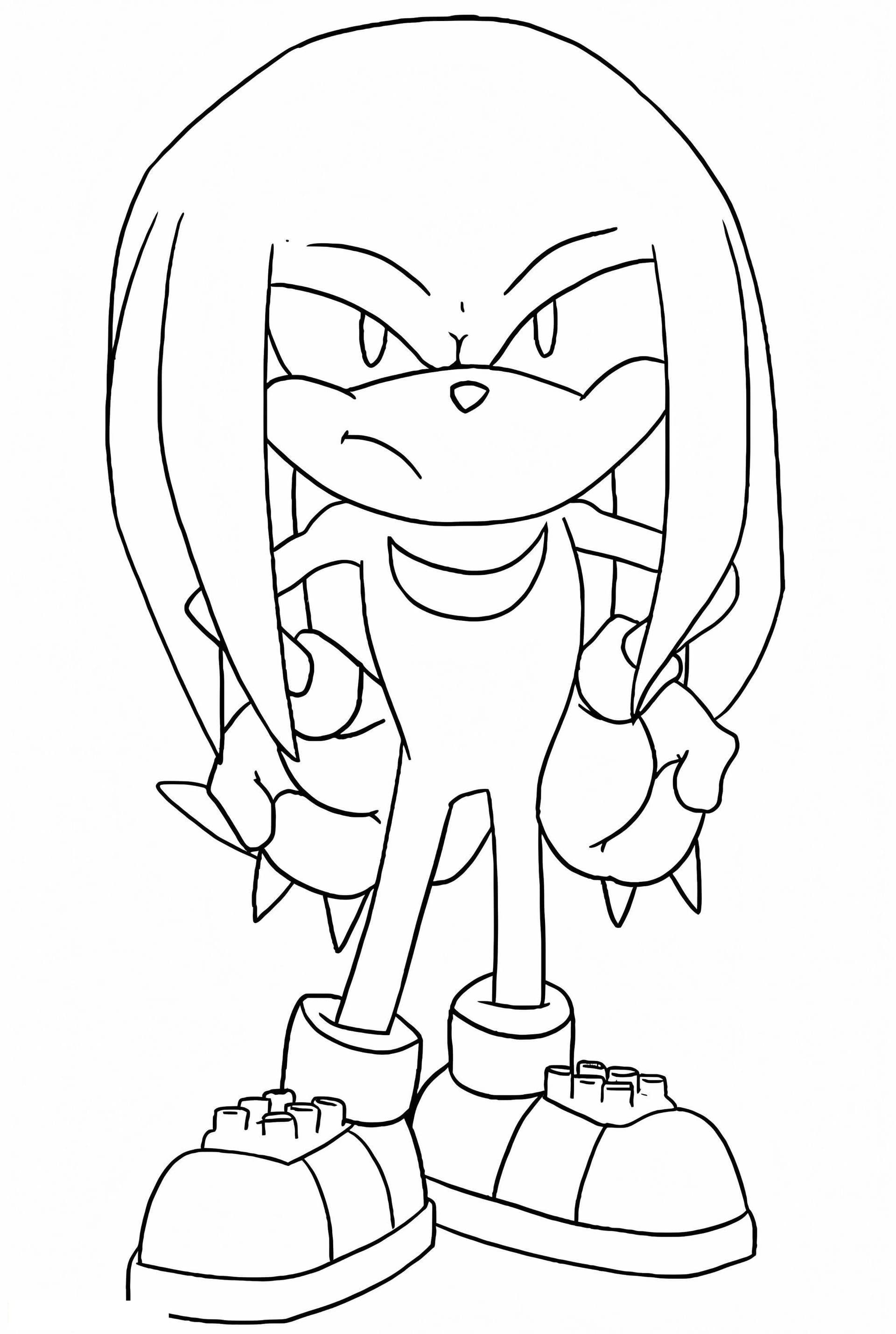 Wütender Knuckles Der Echidna