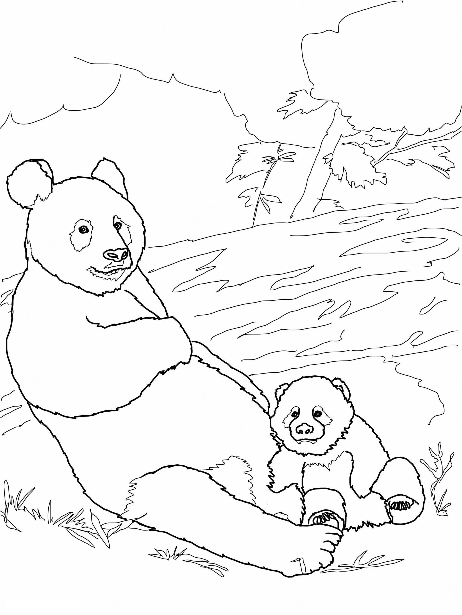 Mutter Mit Baby Panda